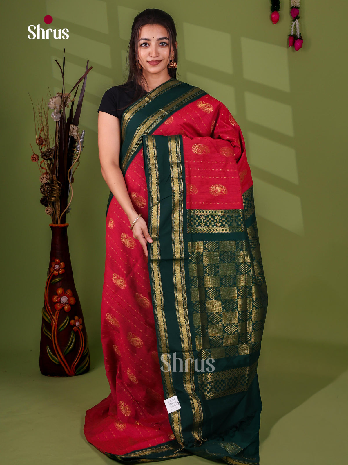 Kalyani Cotton Saree - EJ22105