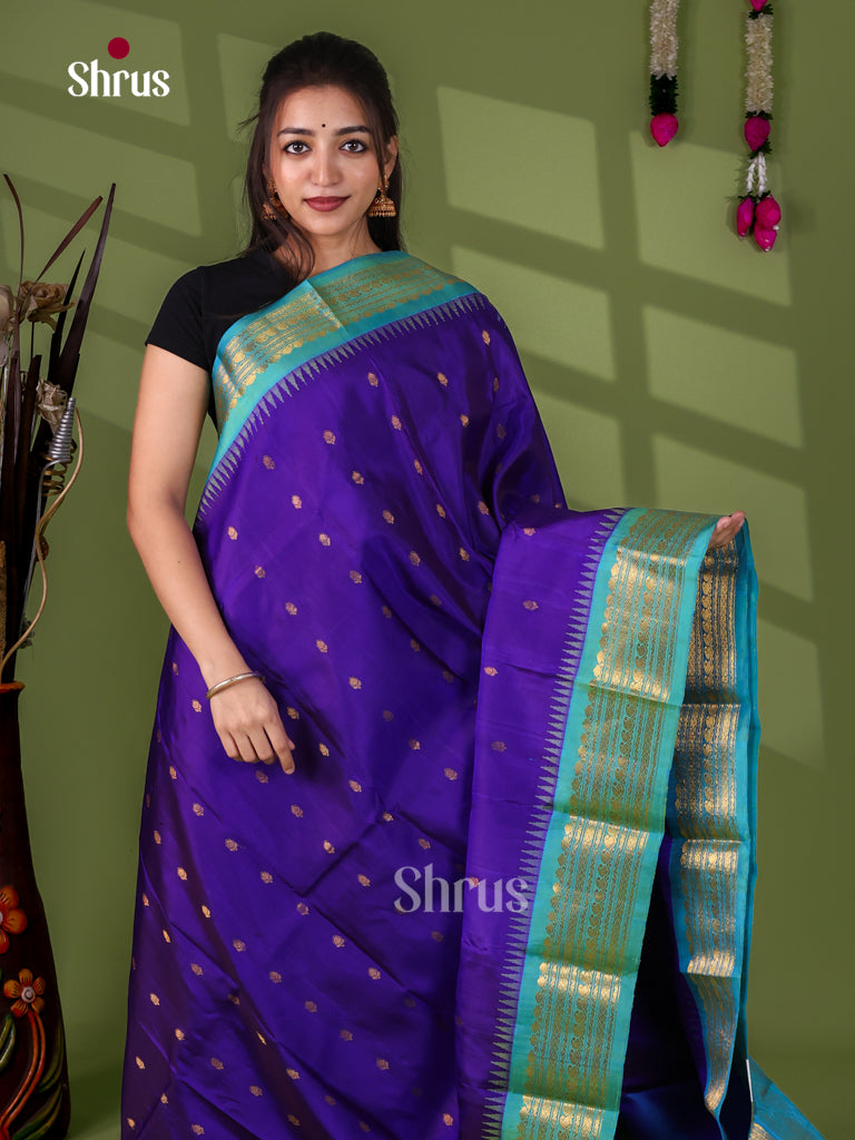 Gadwal silk Saree - EJ23272