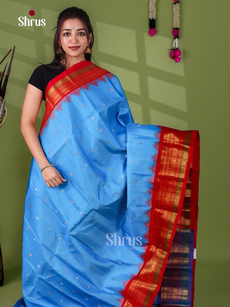 Gadwal silk Saree - EJ23273