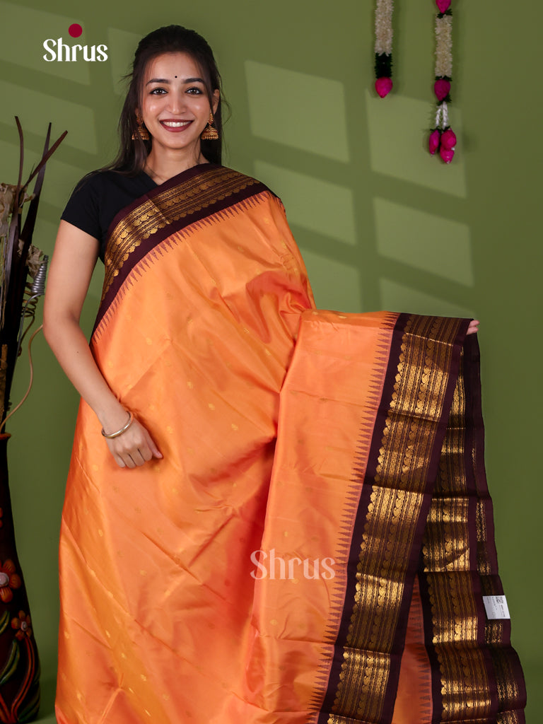 Gadwal silk Saree - EJ23275
