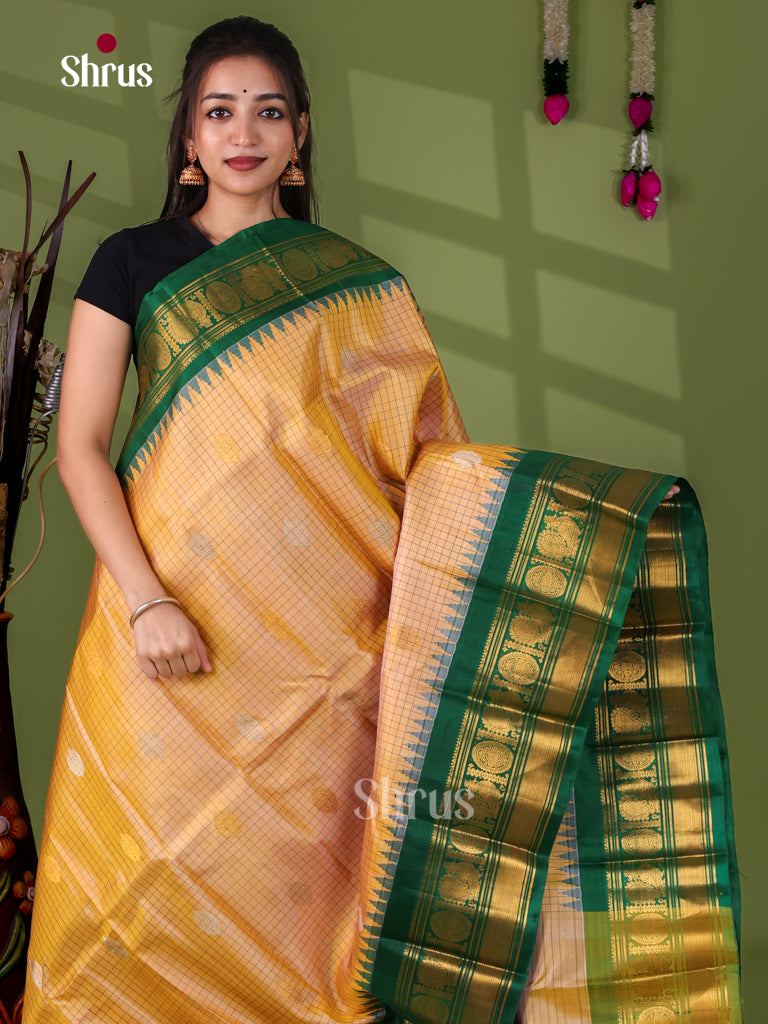 Gadwal silk Saree - EJ23282
