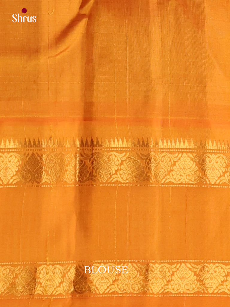 Gadwal silk Saree - EJ23283