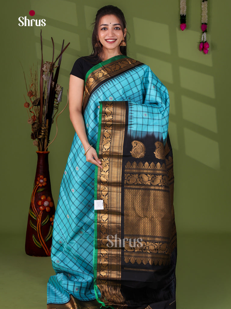 Gadwal silk Saree - EJ23284