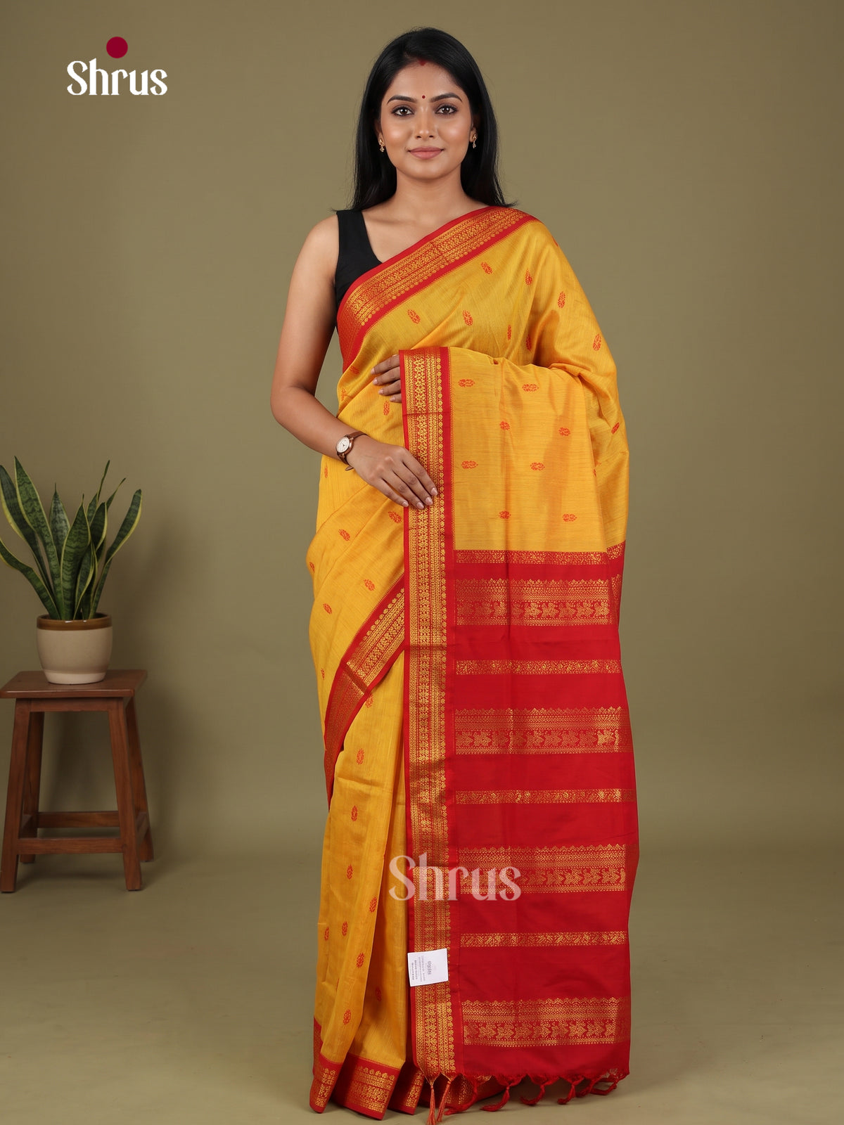 Kalyani Cotton Saree - EJ26441