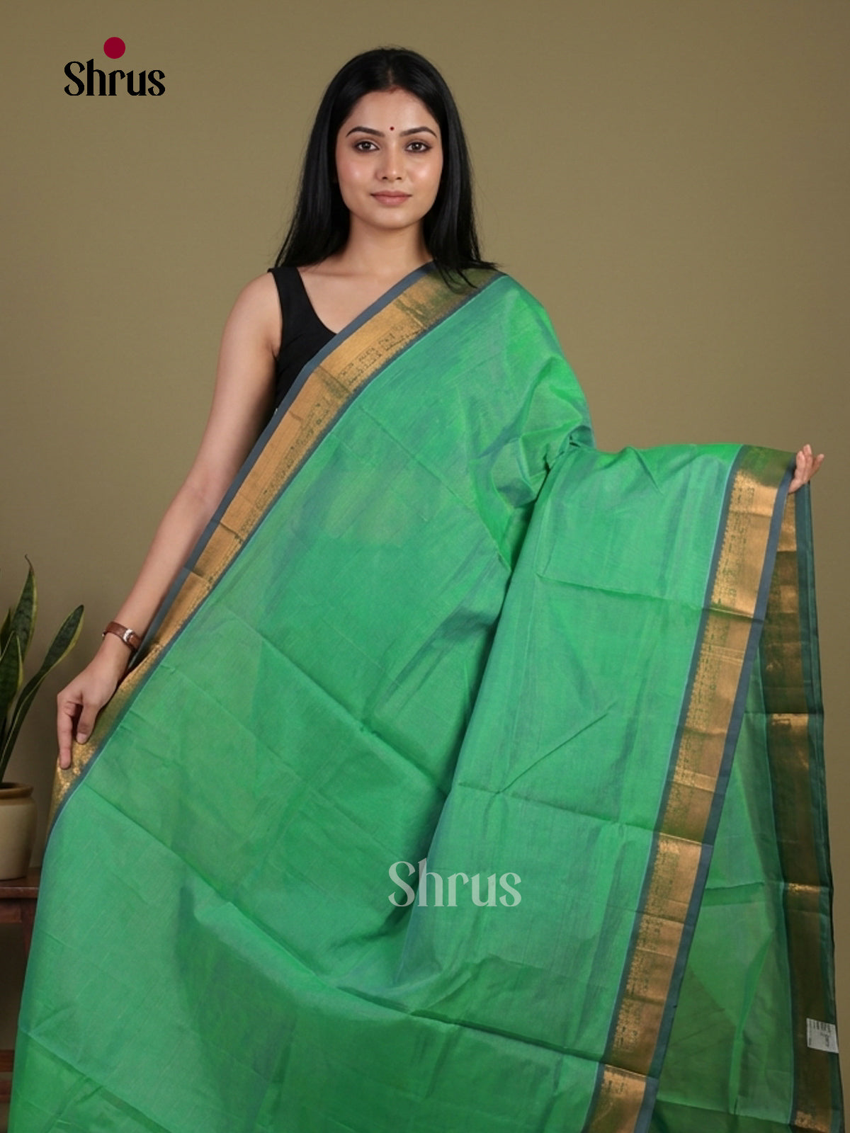 Elegant Light Green Silk Cotton Saree with Zari Border & Traditional Striped Pallu 1