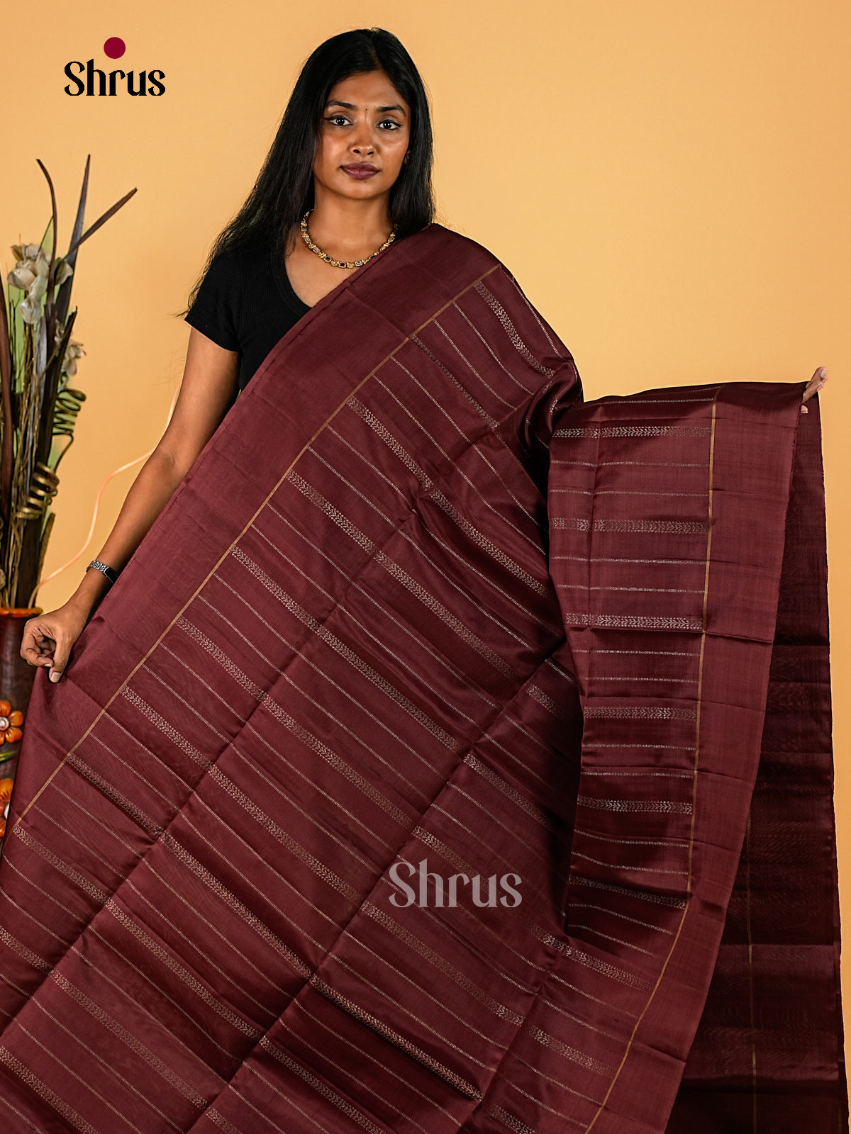 Exquisite Dark Brown Soft Silk Sarees With Silver Patterned Stripes, Self Border & Elephant Motif Woven Pallu 1