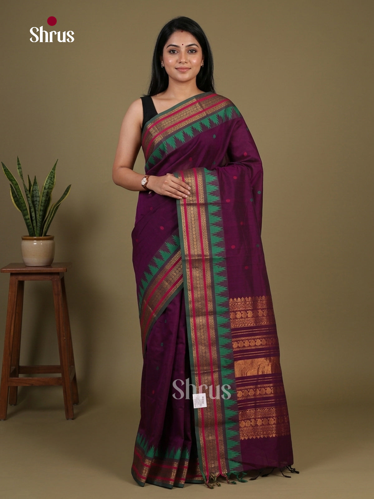 Chettinad Cotton Saree - EFS17026 - Shop on Shrus.com