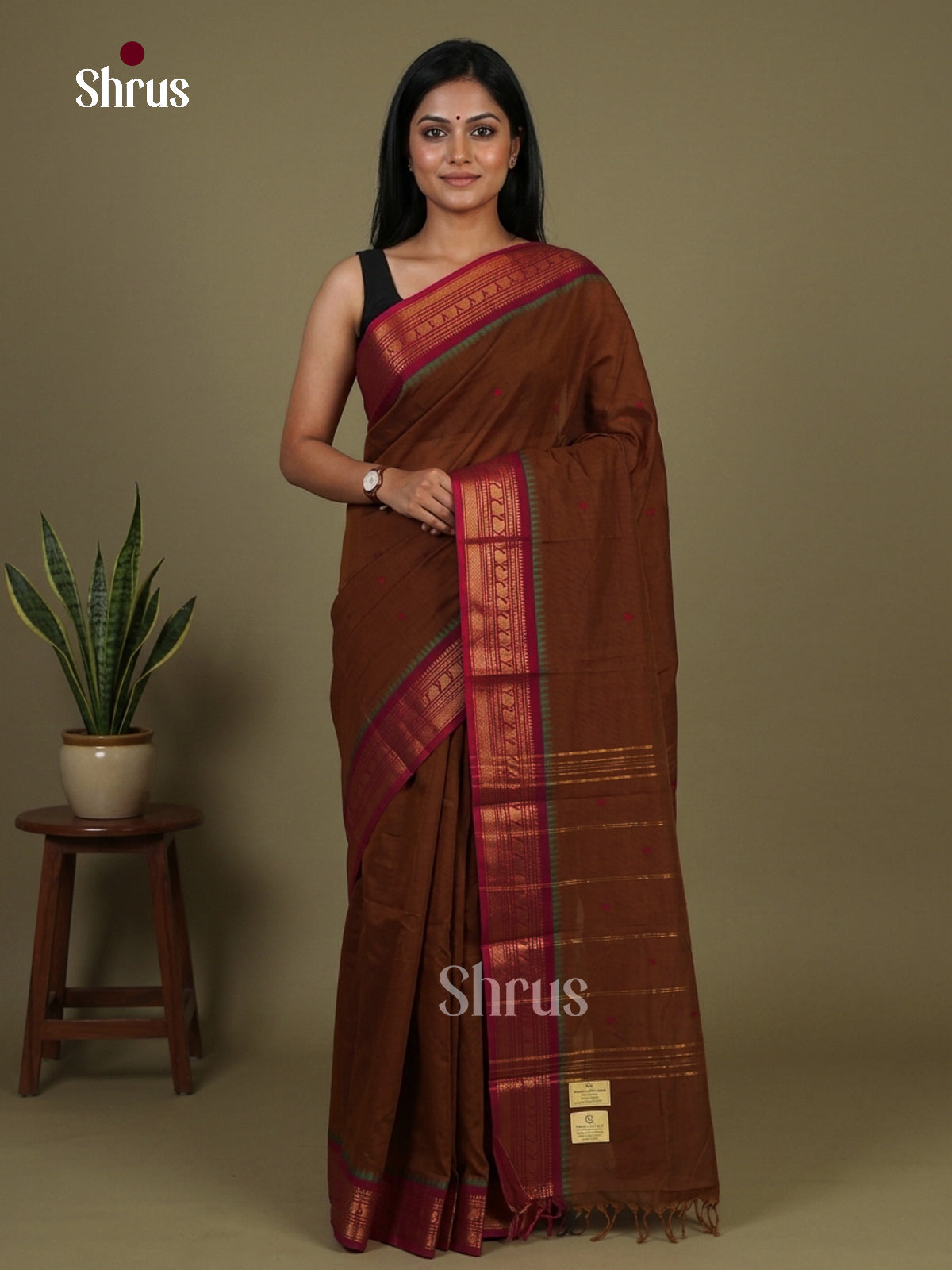 Graceful Brown Chettinad Cotton Saree With Thread Buttas & Dark Pink Temple Zari Border - Shop on Shrus.com