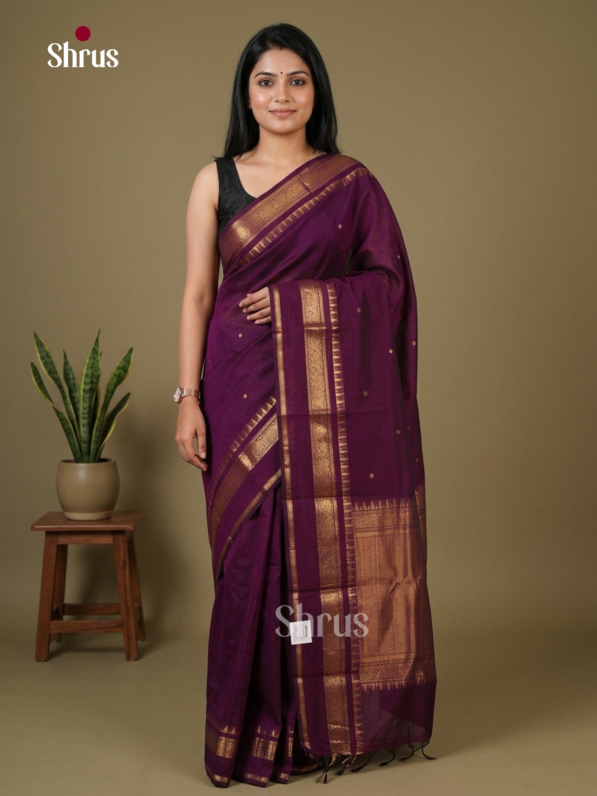 Chettinad Cotton Saree - EFS17041 - Shop on Shrus.com