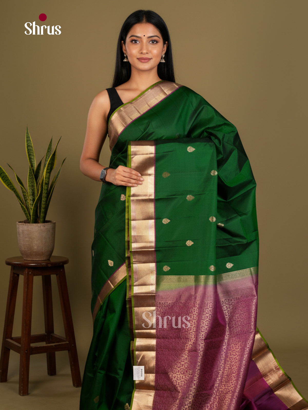 Buy Serene Green Kanchipuram Saree Woven With Gold Buttas, Kaddi Zari Border & Brocade Pallu