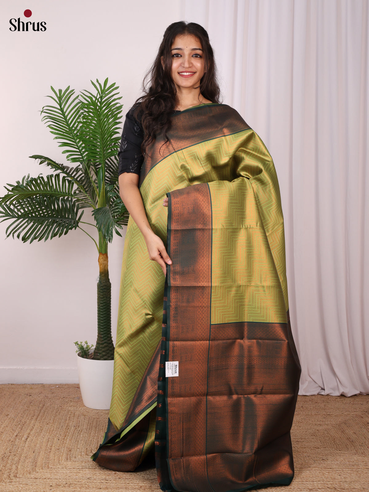 Lite Green& Green - Semi Arani Silk Saree - Shop on ShrusEternity.com