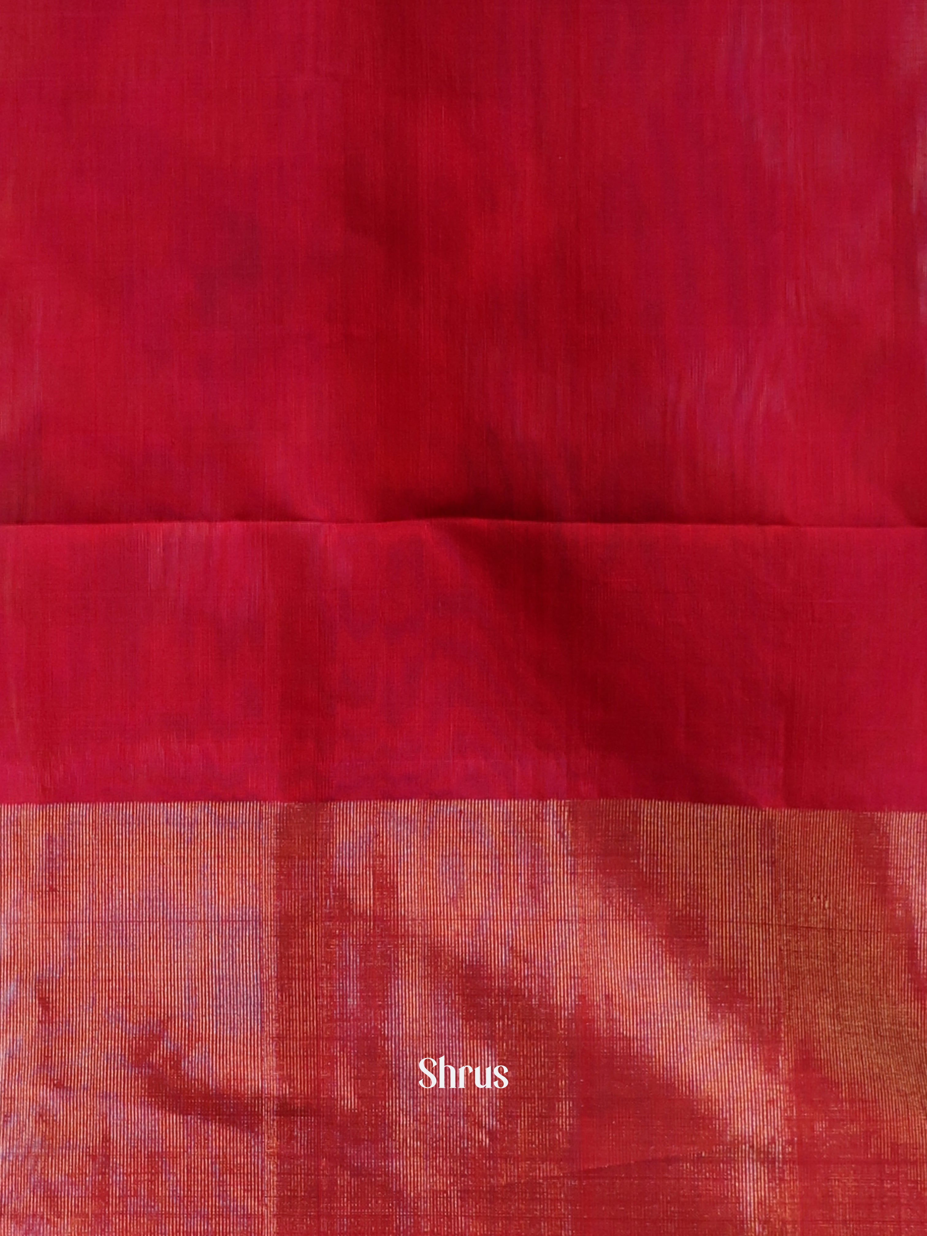CJS09814 - Pochampally sico Saree - Shop on Shrus.com
