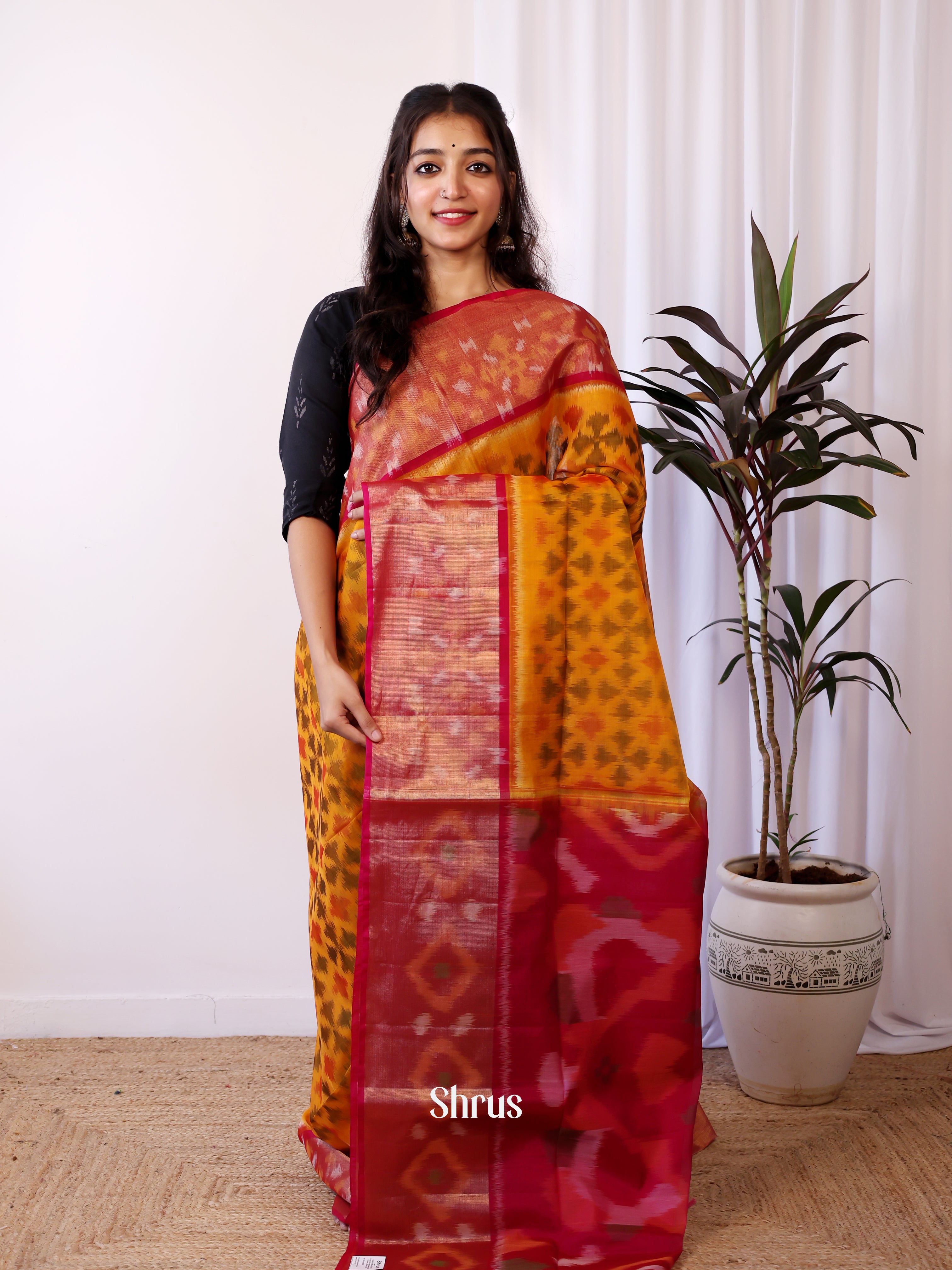 CJS09814 - Pochampally sico Saree - Shop on Shrus.com
