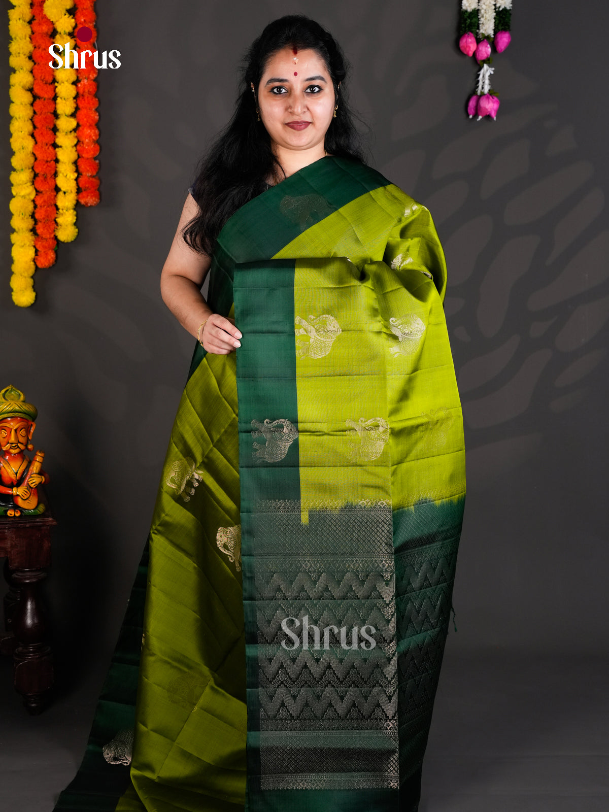 Buy Luminous Light Green Soft Silk Saree with Zari Elephant Motifs & Green Brocade Pallu