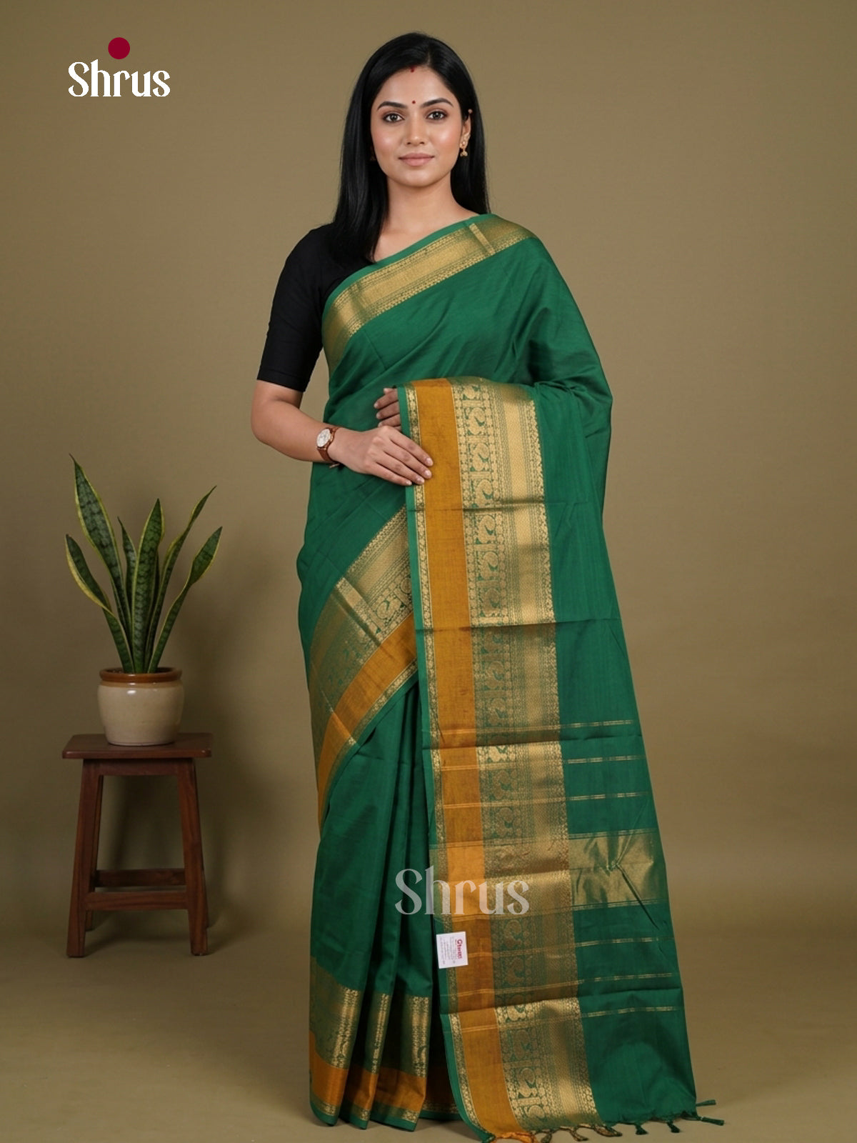 Luxurious Green Chettinad Cotton Saree With Plain Body, Self Zari Border & Traditional Pallu