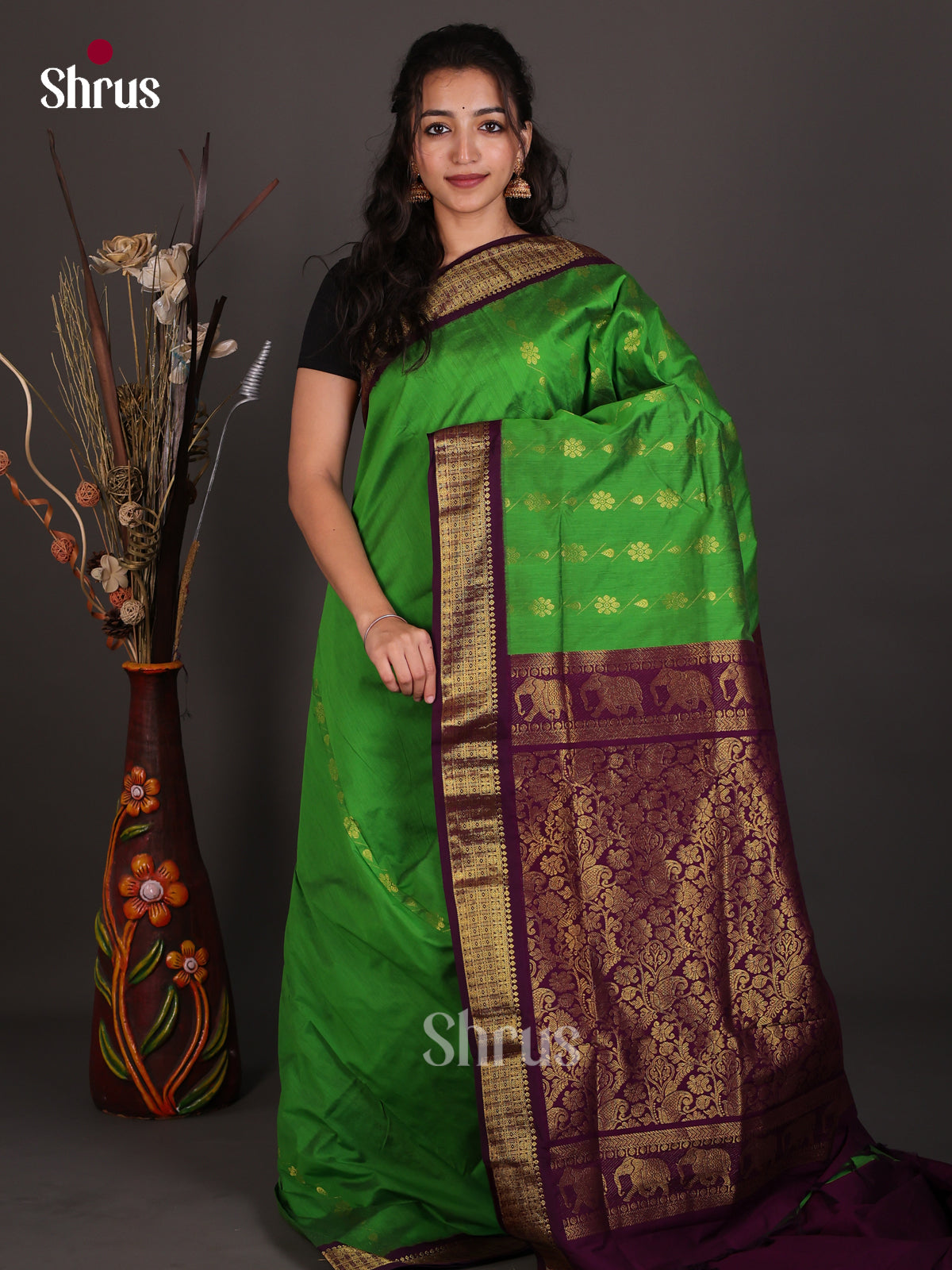 Elegant Parrot Green Kalyani Cotton Saree With Golden Buttas & Deep Purple Zari Pallu