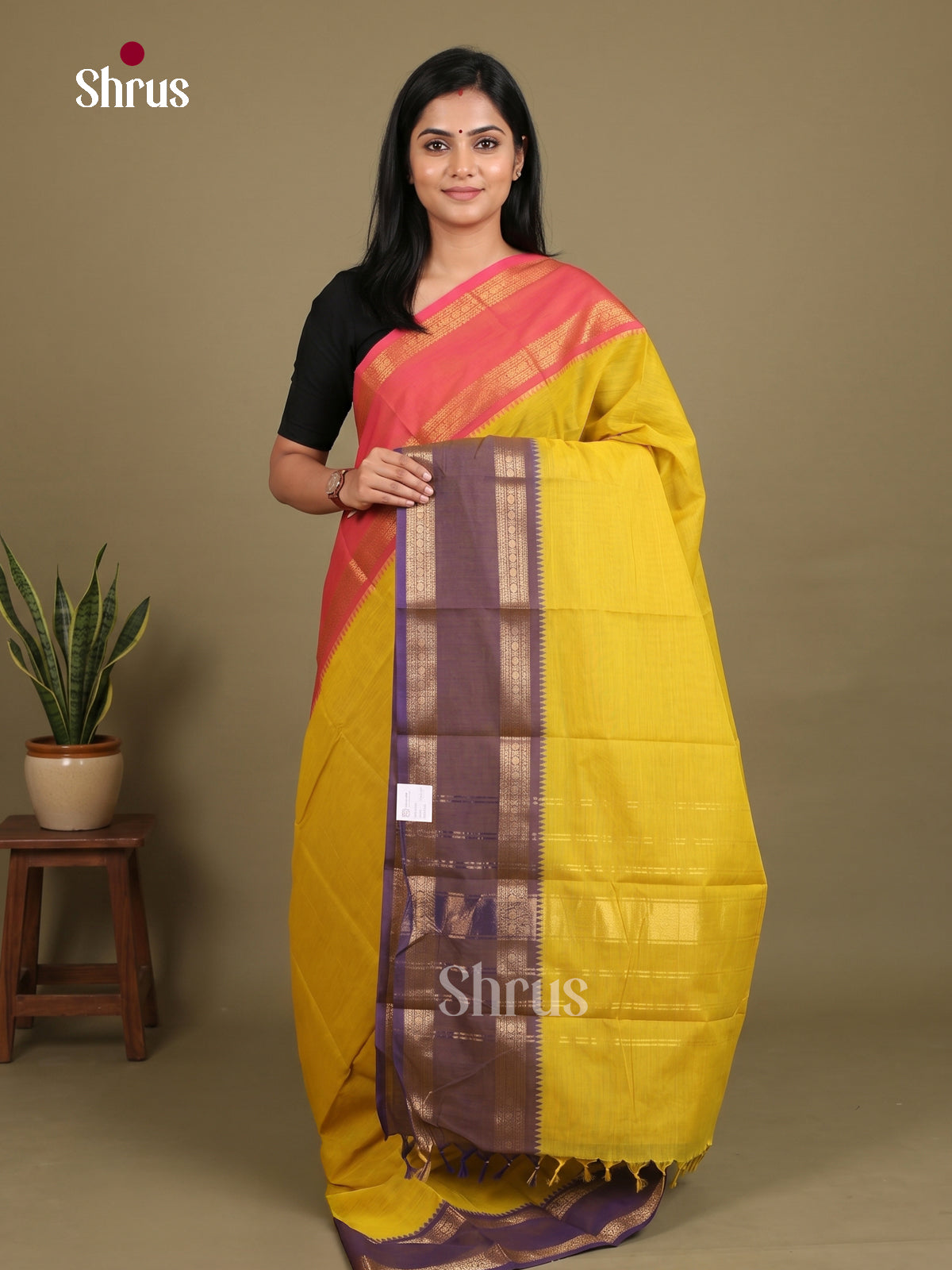 Pretty Mustard Chettinad Cotton Saree With Ganga Jamuna Rettapet Zari Border & Pallu