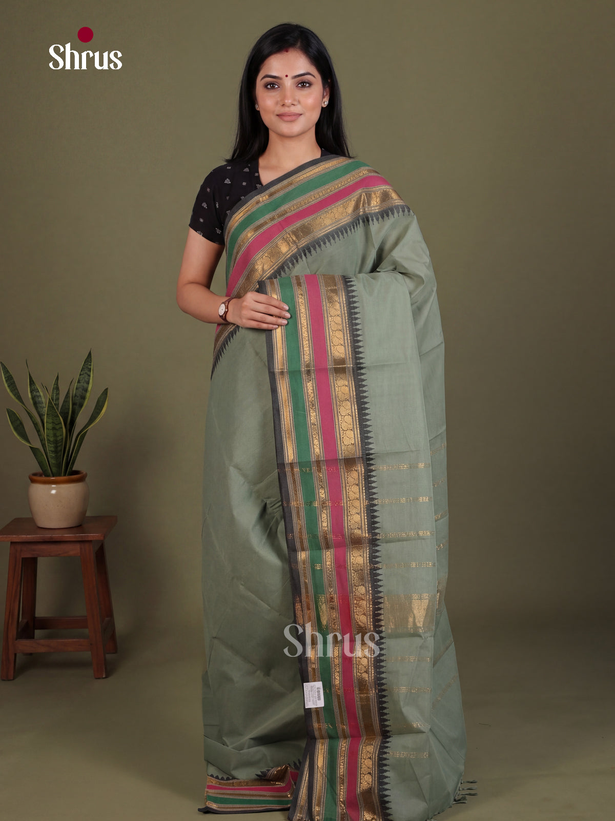 Regal Grey Chettinad Cotton Saree With Multicoloured Temple Zari Border & Pallu
