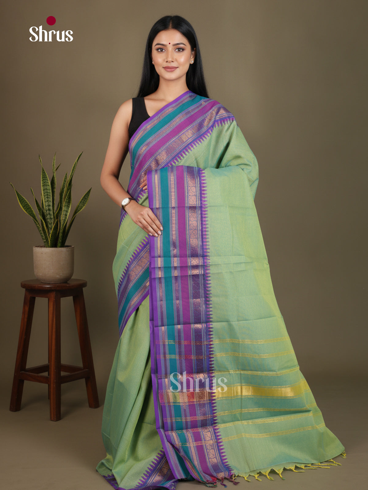 Regal Mint Green Chettinad Cotton Saree With Multicoloured Temple Zari Border & Pallu