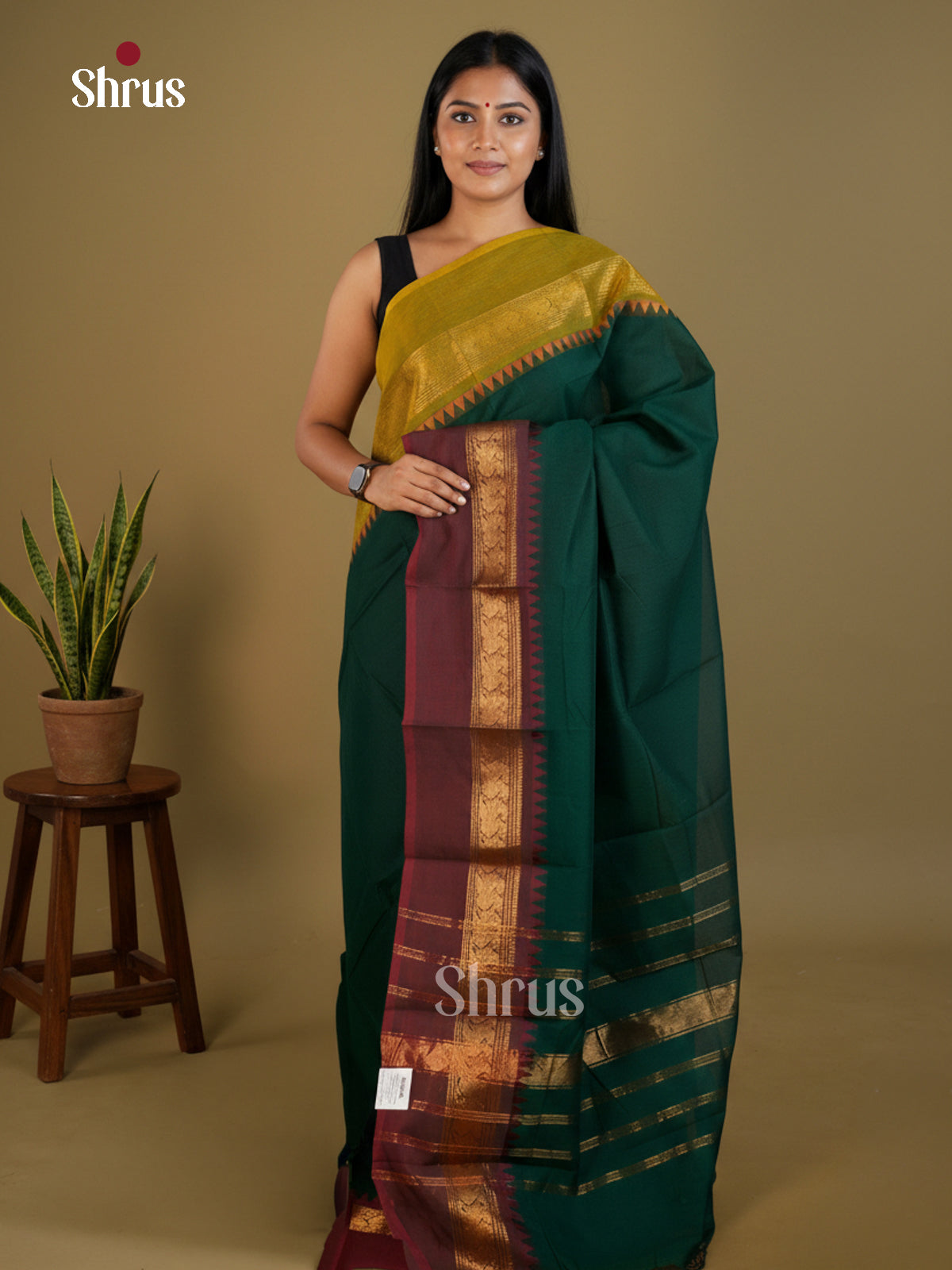 Serene Green Chettinad Cotton Saree With Plain Body & Ganga Jamuna Temple Zari Border