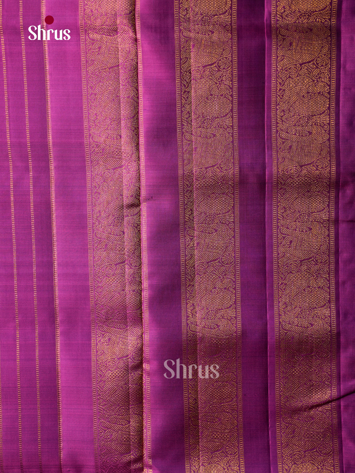 Stunning Violet 9Yards Pattu Sarees With Gold Buttas | Magenta Zari Border & Pallu