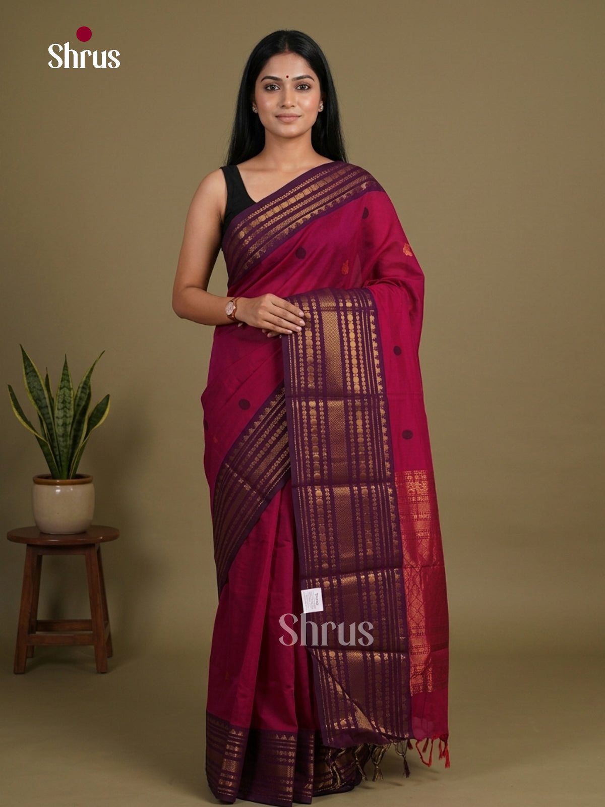 Traditional Pink Chettinad Cotton Saree With Thread Buttas & Purple Zari Border - Shop on Shrus.com