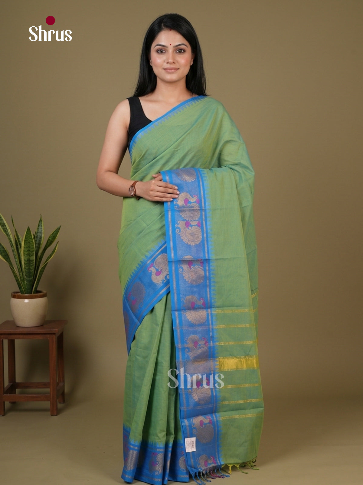 Vibrant Light Green Chettinad Cotton Saree With Plain Body, Blue Temple Zari Border & Chit Pallu