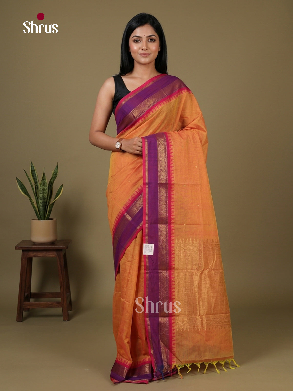 Chettinad Cotton Saree - EFS17038 - Shop on Shrus.com