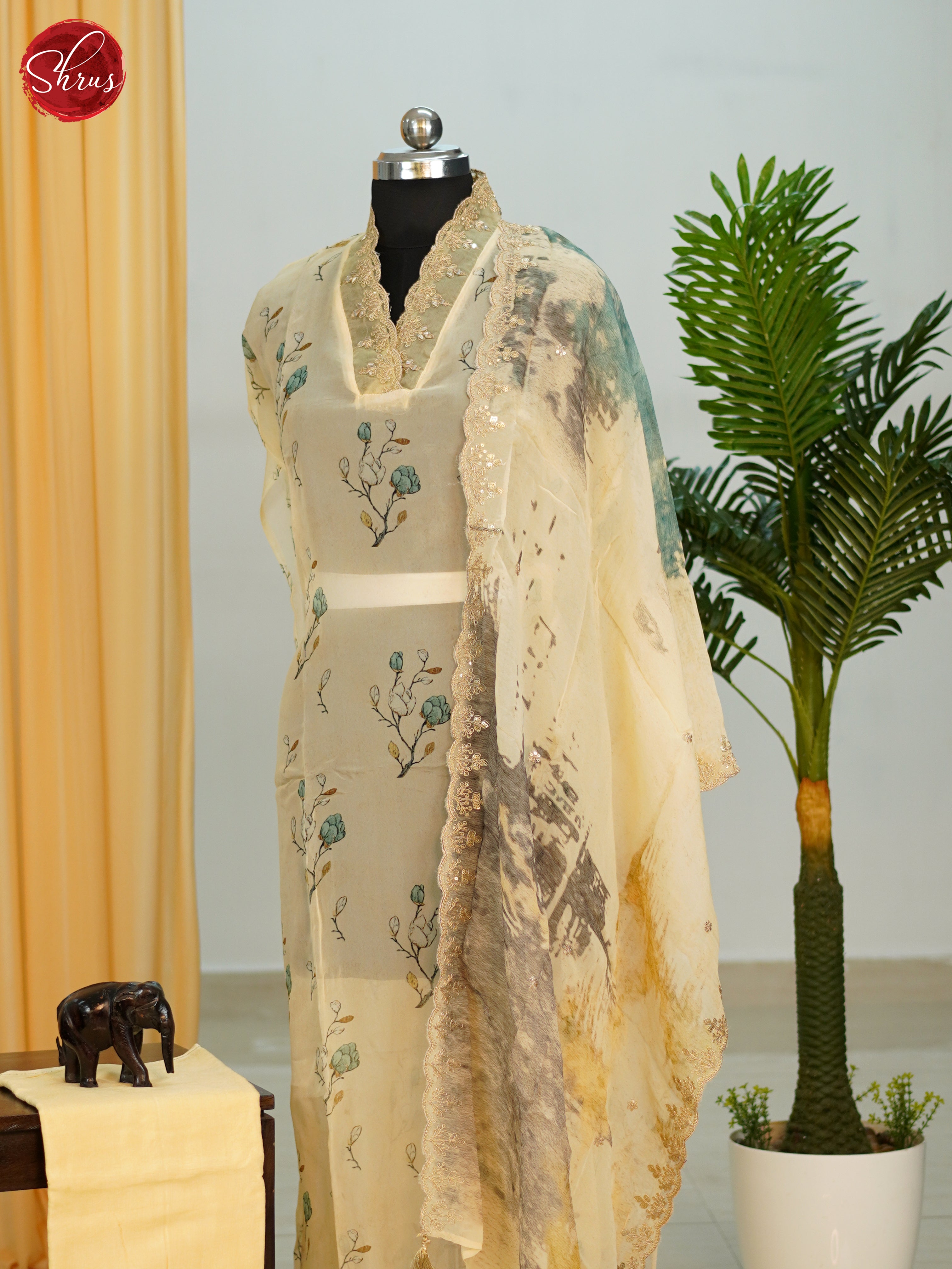 BGS31221 - Salwar - Shop on ShrusEternity.com