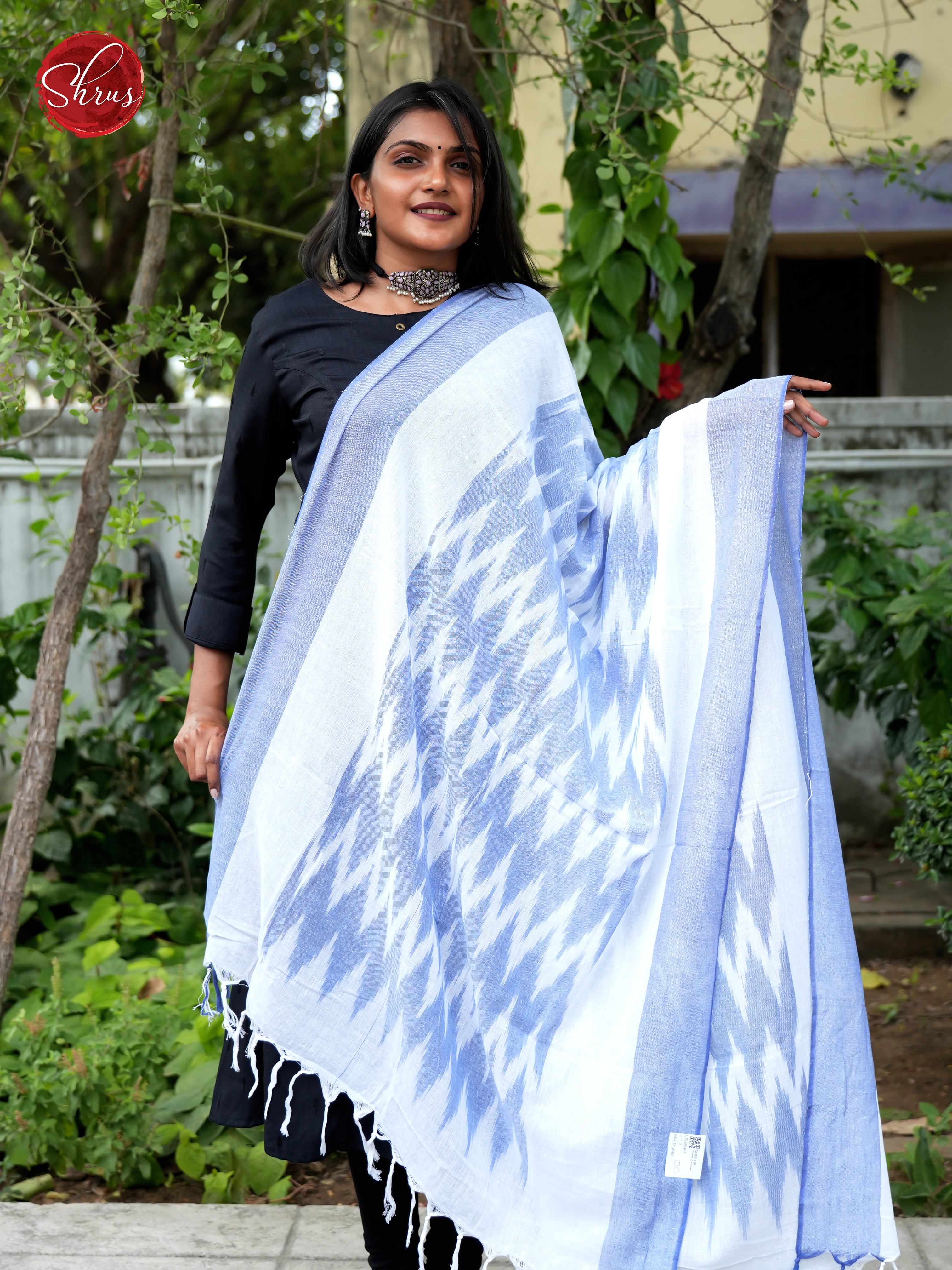 Blue - Ikkat Dupatta - Shop on ShrusEternity.com