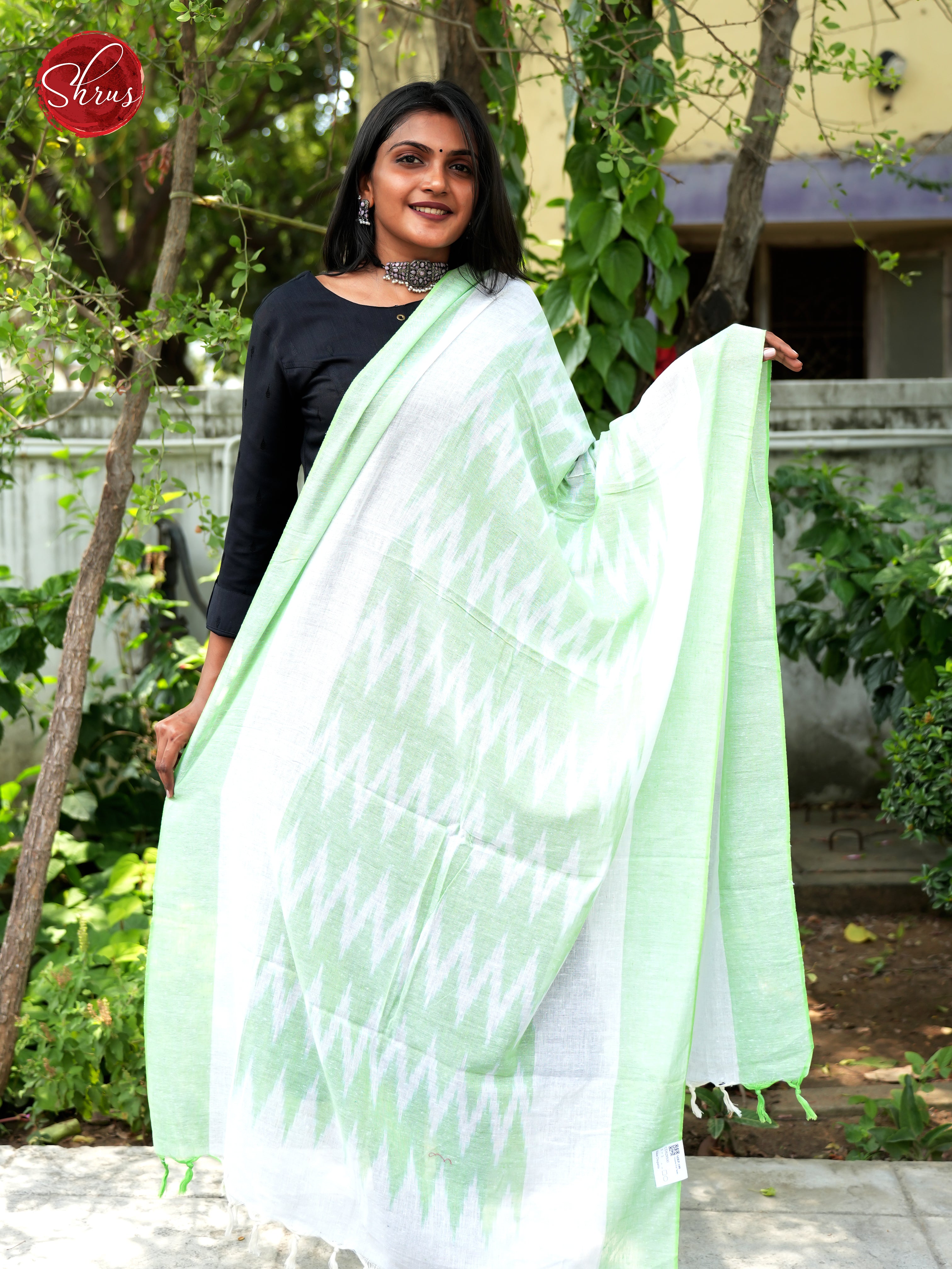 Light Green - Ikkat Dupatta - Shop on ShrusEternity.com