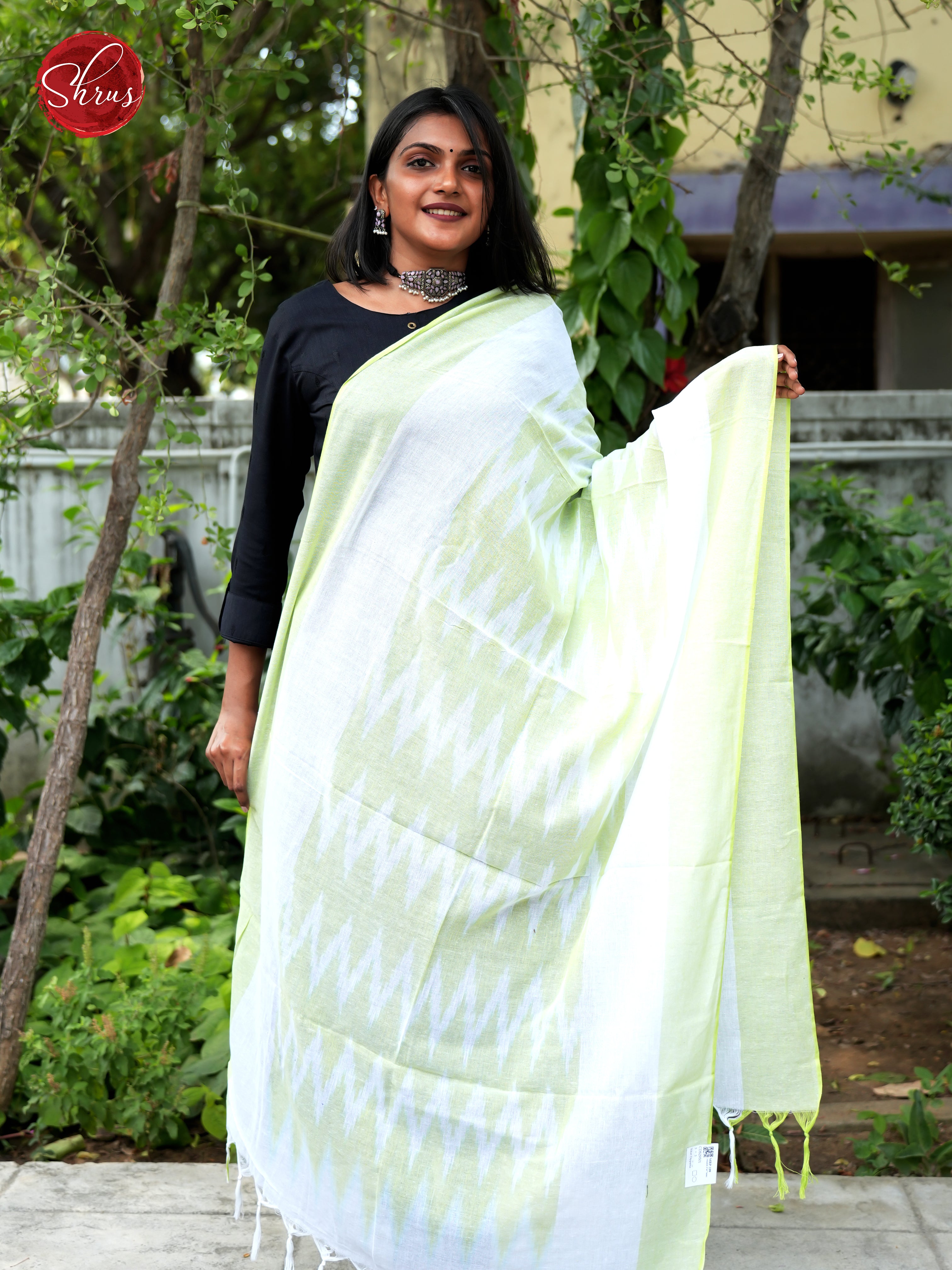 Light green - Ikkat Dupatta - Shop on ShrusEternity.com