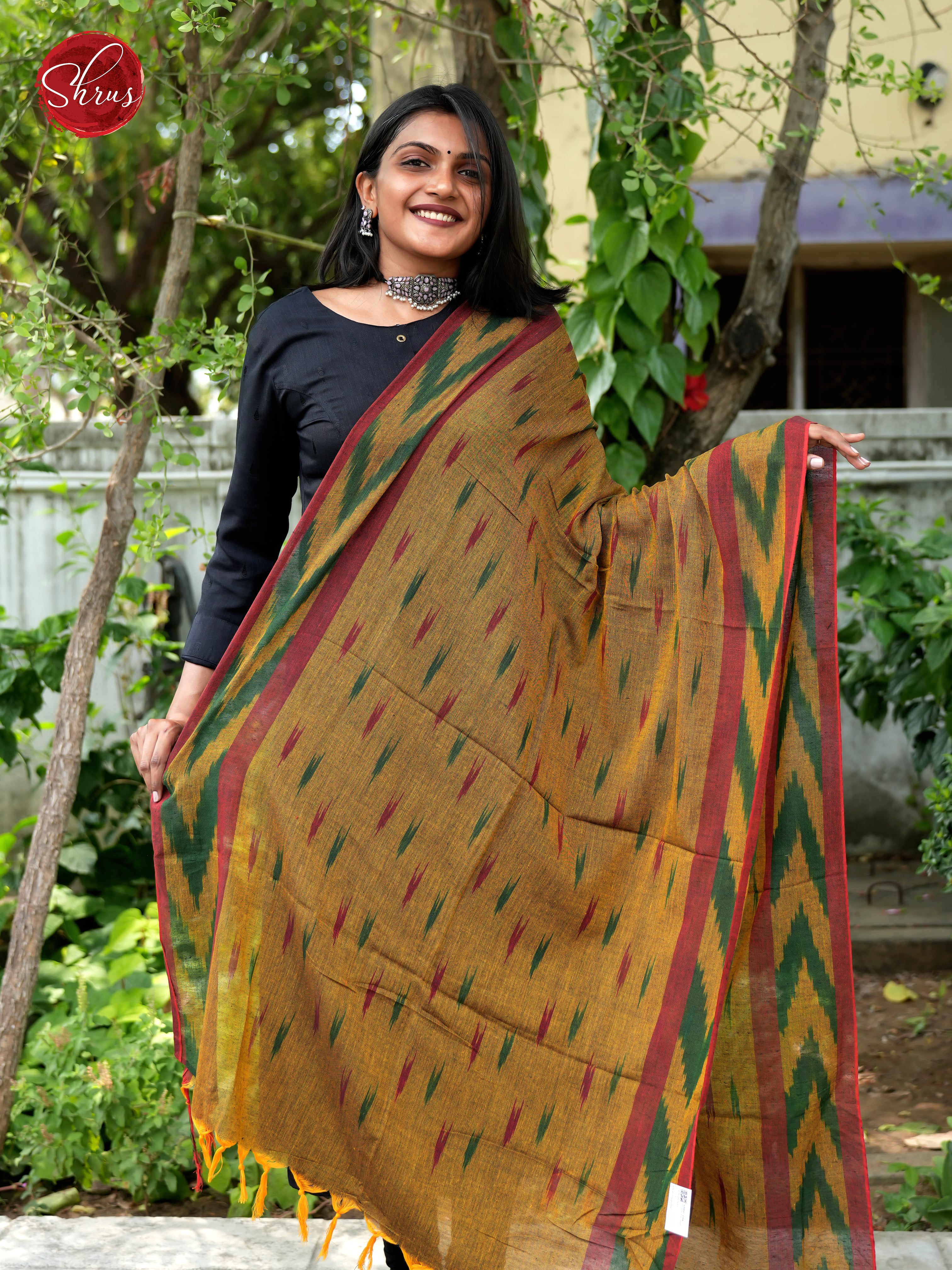 Brown - Ikkat Dupatta - Shop on ShrusEternity.com