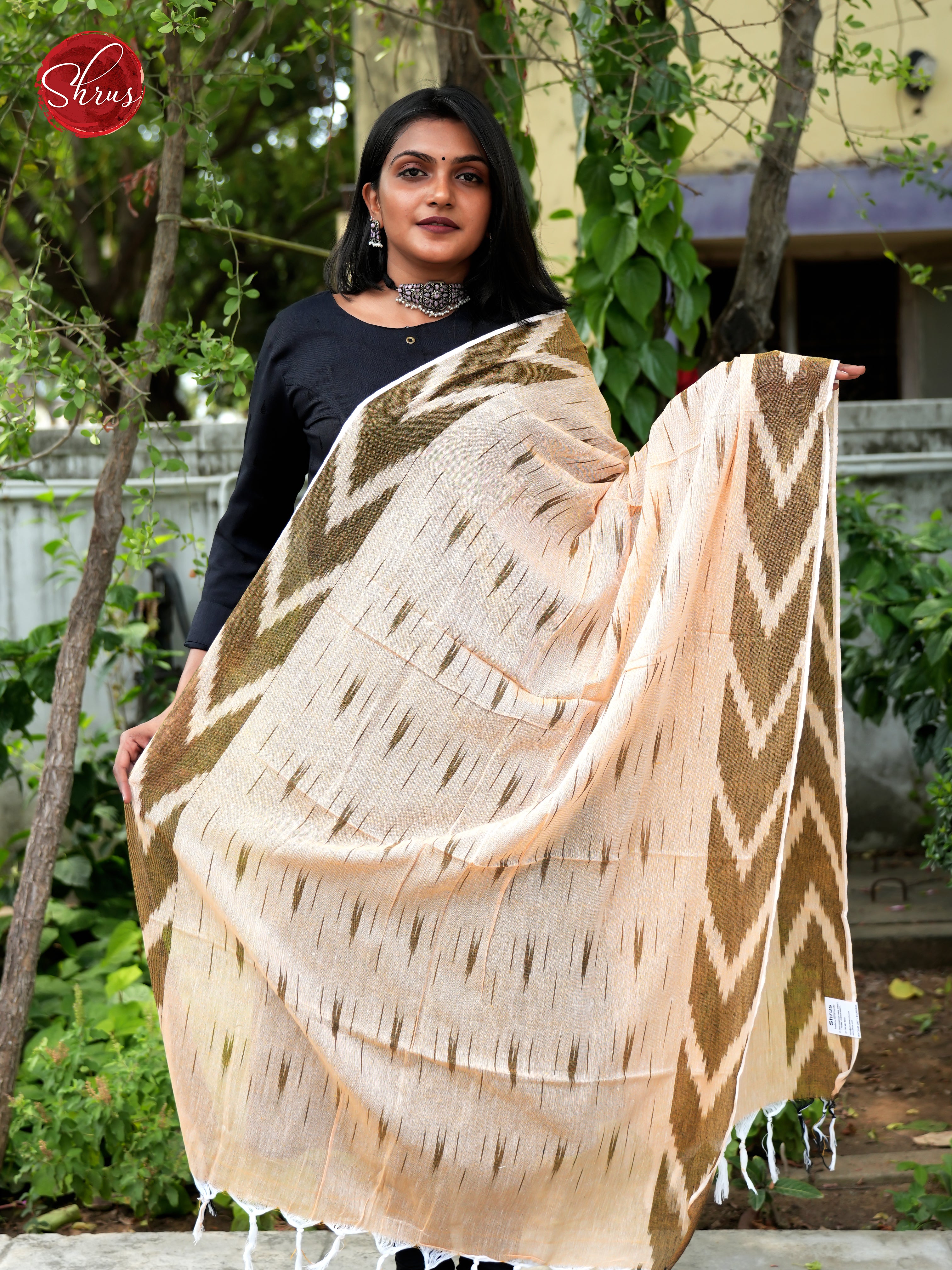 Cream & Green - Ikkat Dupatta - Shop on ShrusEternity.com