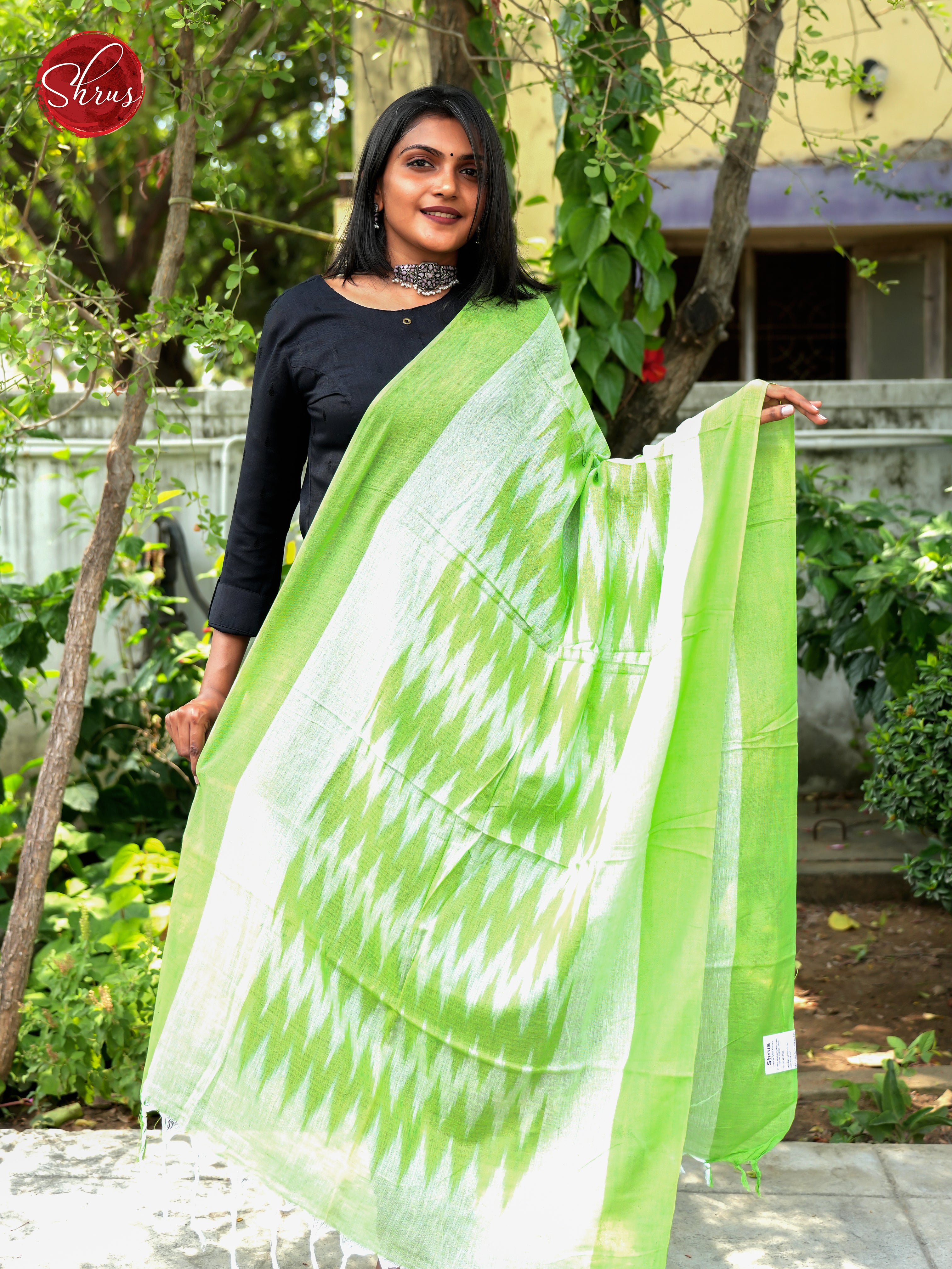 Green & Cream - Ikkat Dupatta - Shop on ShrusEternity.com
