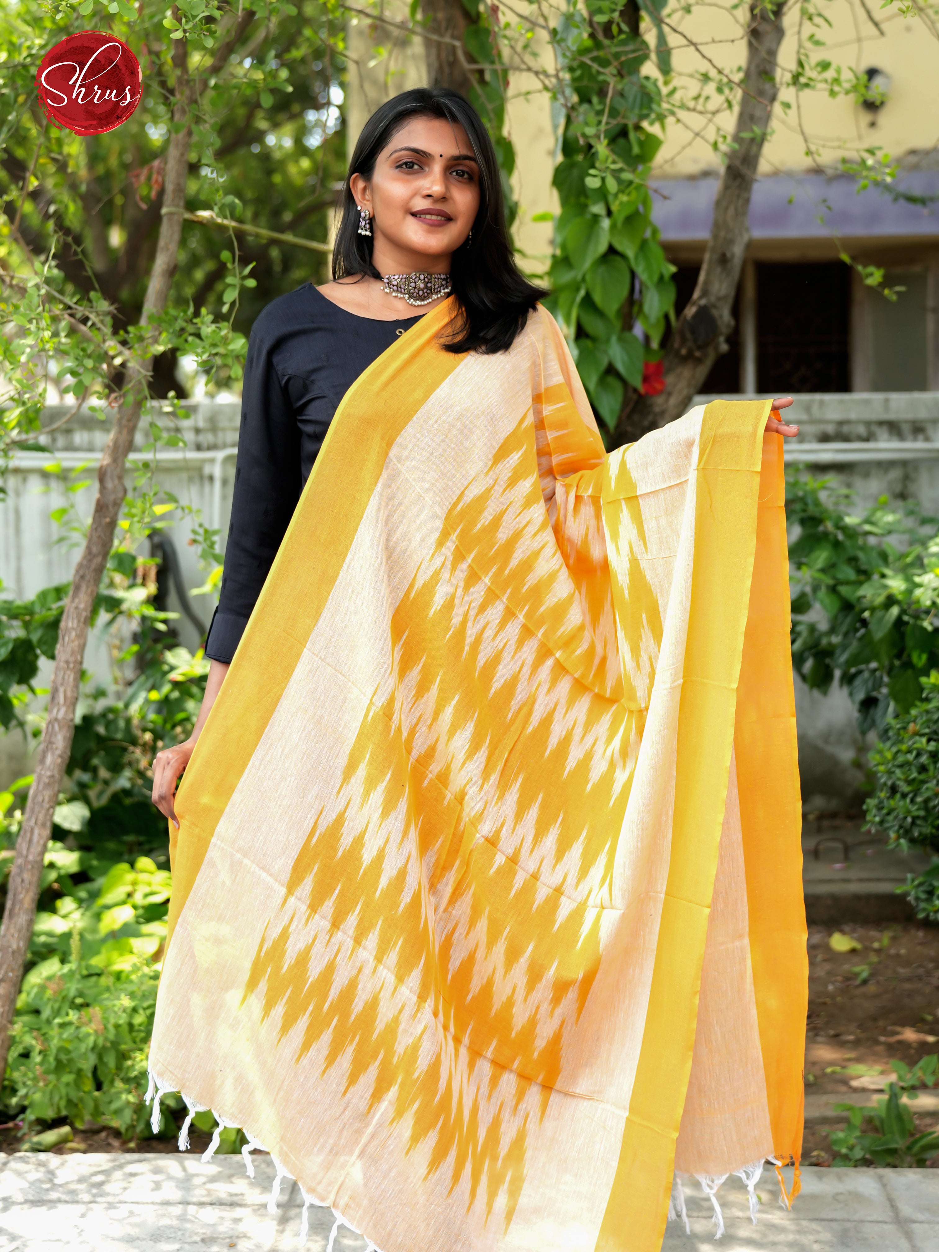 mustard & Cream - Ikkat Dupatta - Shop on ShrusEternity.com