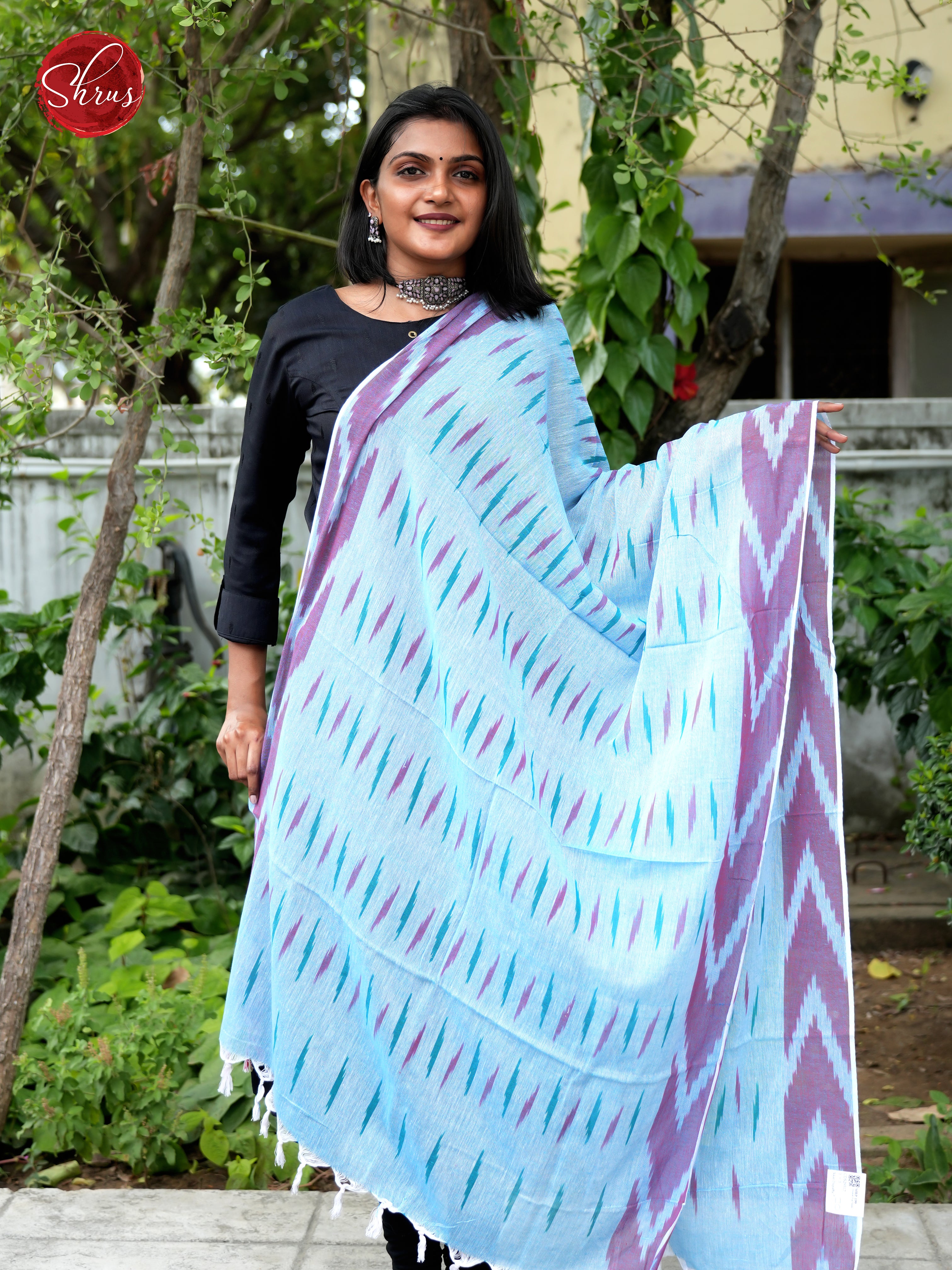 Blue - Ikkat Dupatta - Shop on ShrusEternity.com