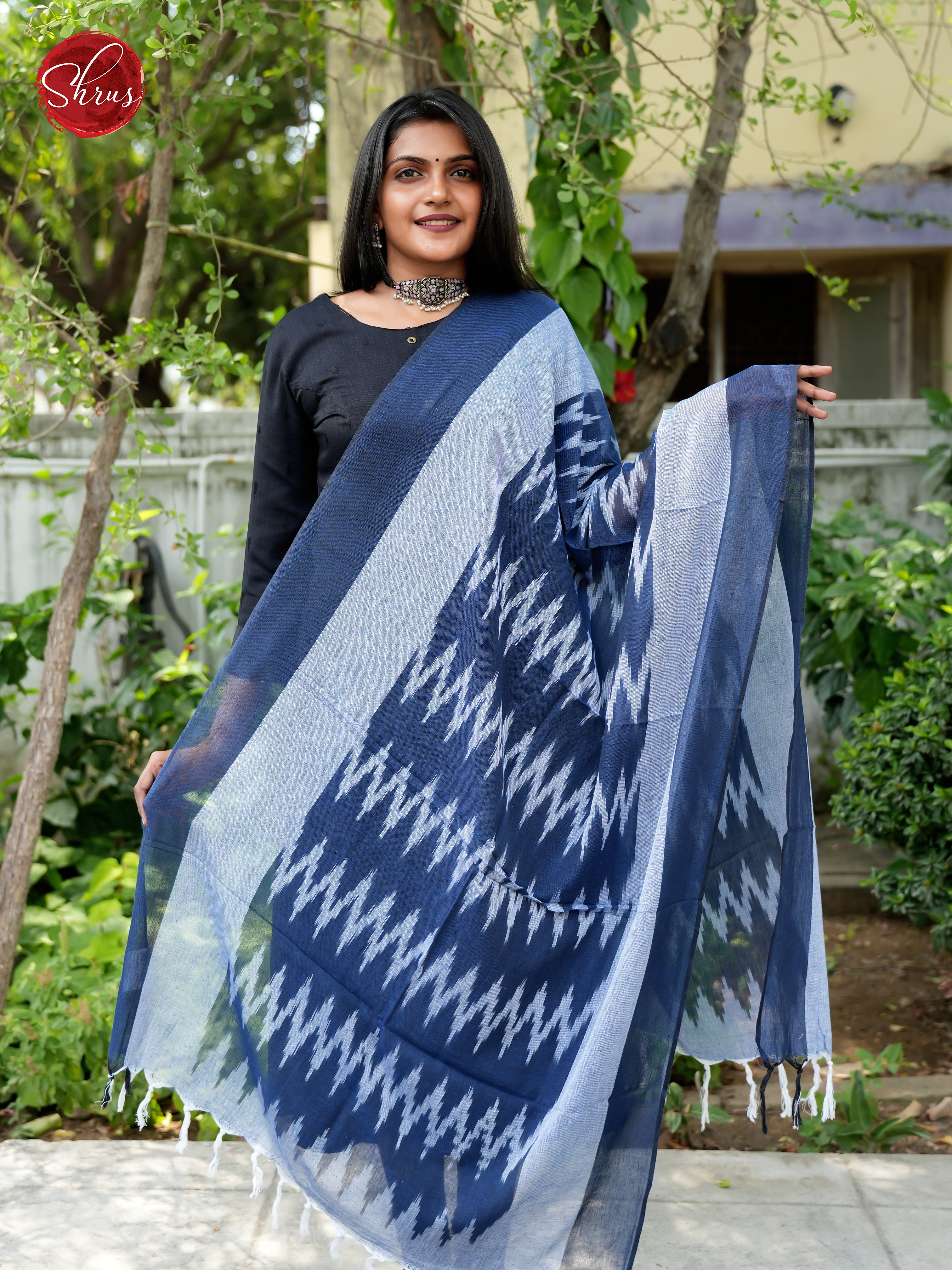 Blue - Ikkat Dupatta - Shop on ShrusEternity.com