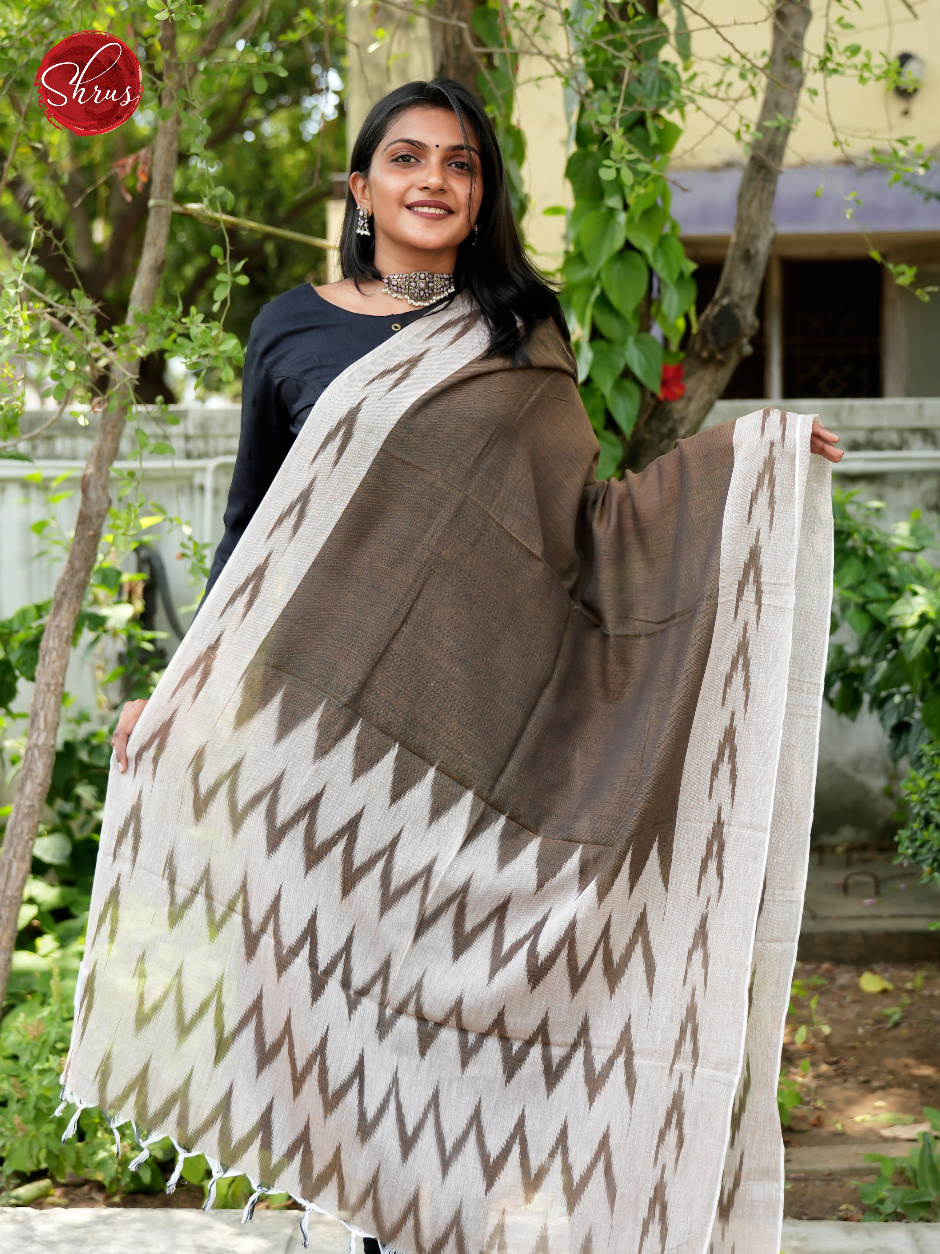 CDS29521 - Ikkat Dupatta - Shop on ShrusEternity.com