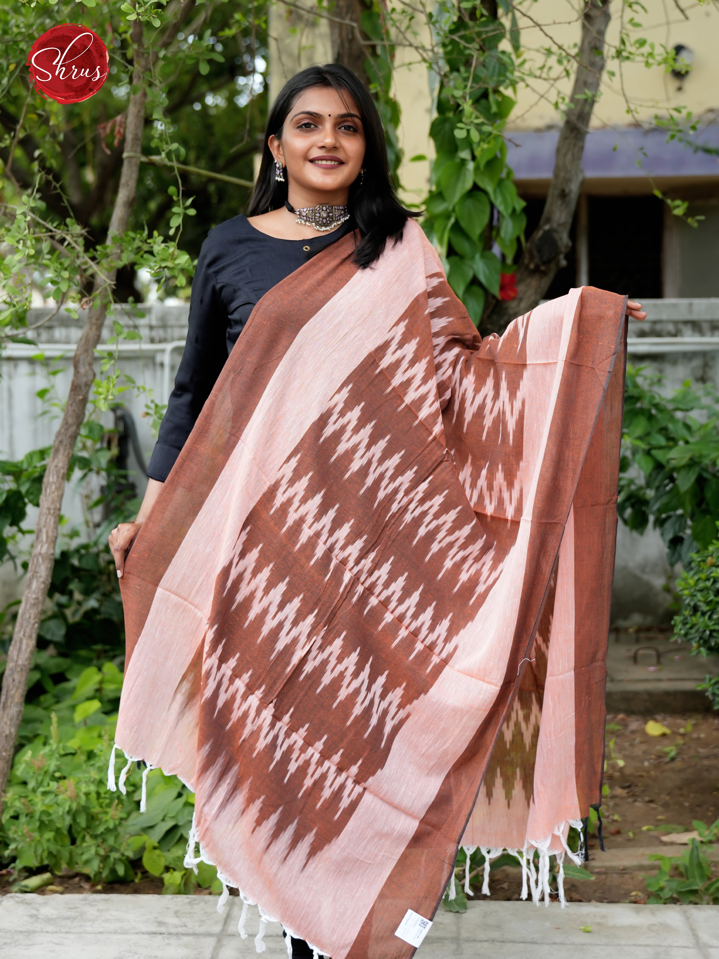 Brown - Ikkat Dupatta - Shop on ShrusEternity.com