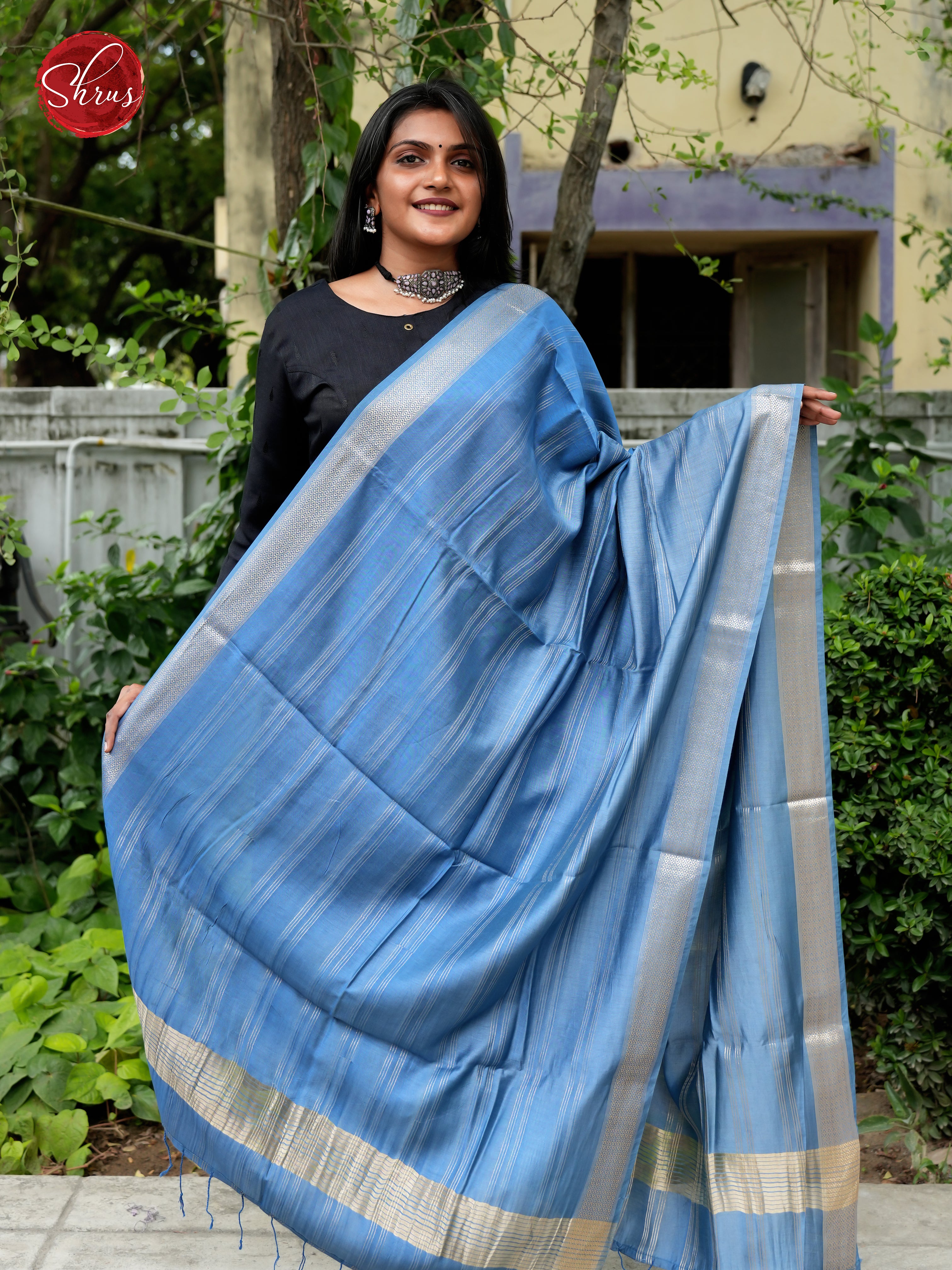 Blue - Semi Organza Dupatta - Shop on ShrusEternity.com