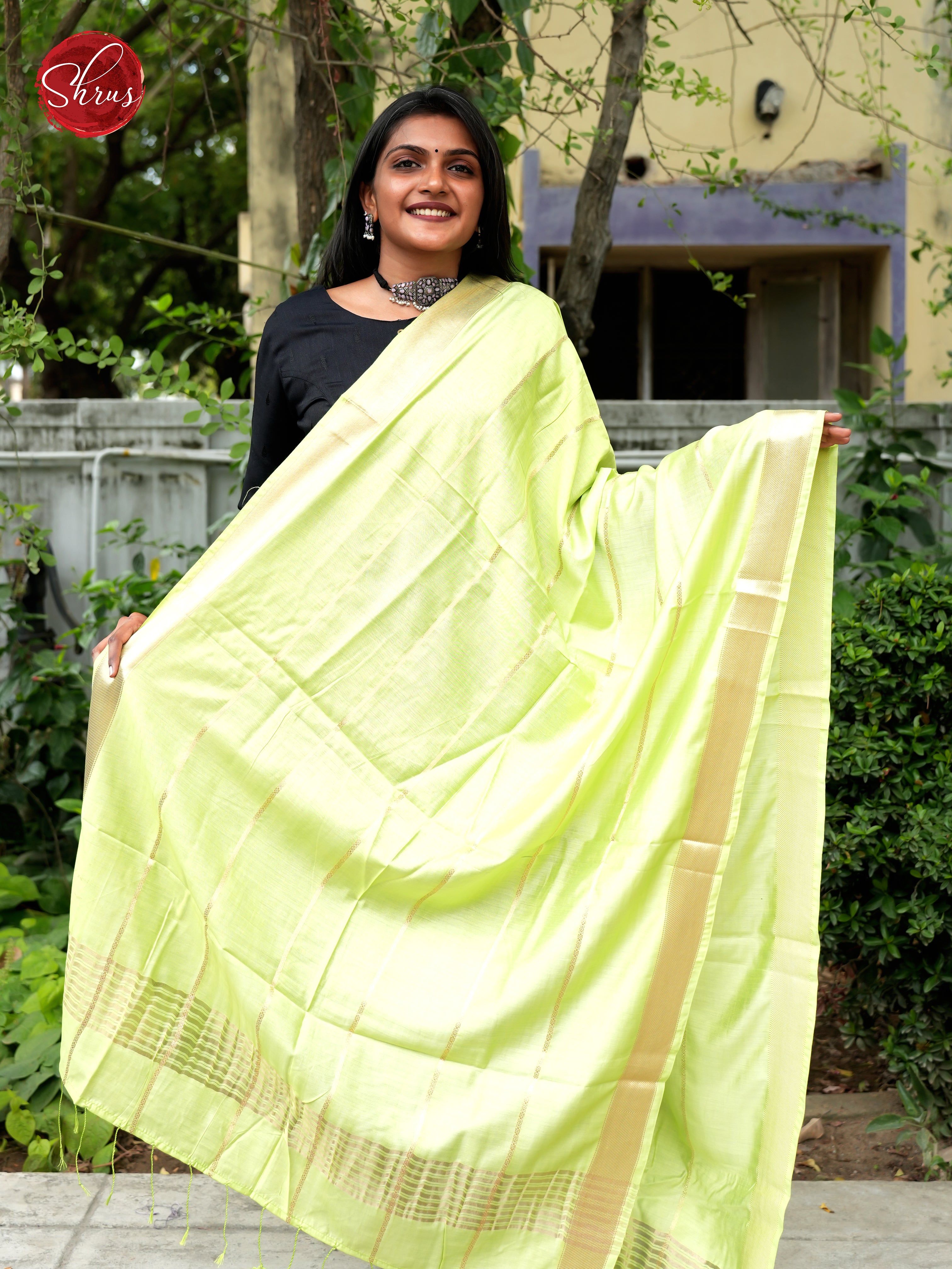 Green - Semi Organza Dupatta - Shop on ShrusEternity.com