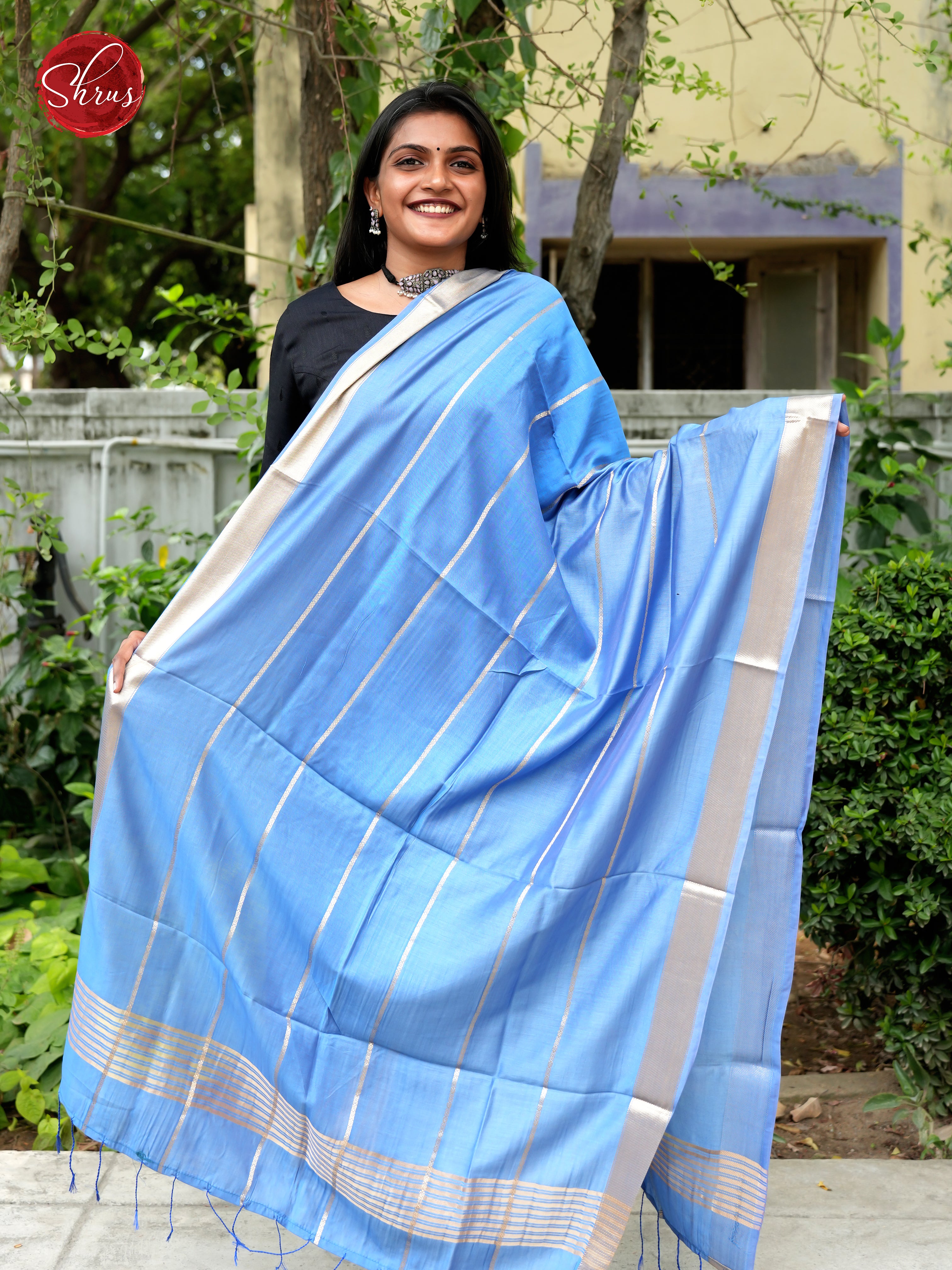 Blue - Semi Organza Dupatta - Shop on ShrusEternity.com
