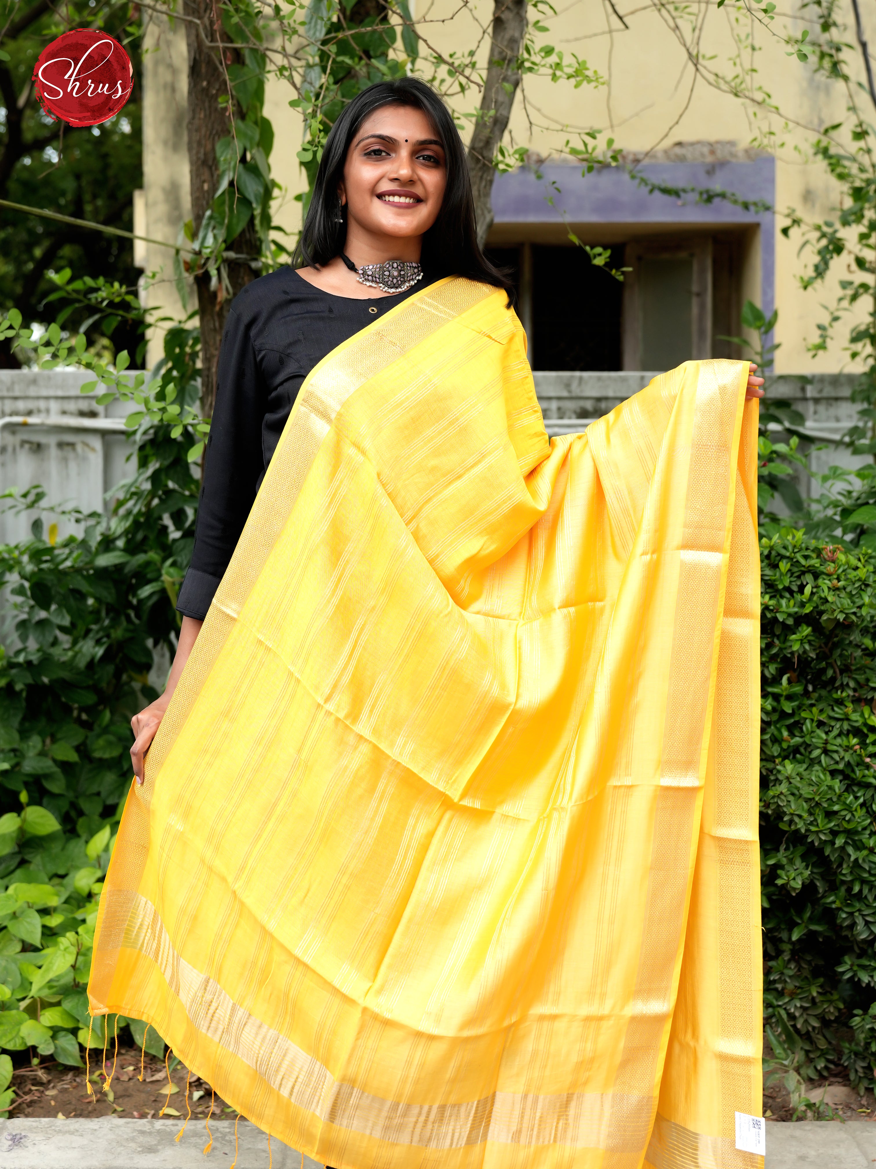 Yellow - Semi Organza Dupatta - Shop on ShrusEternity.com