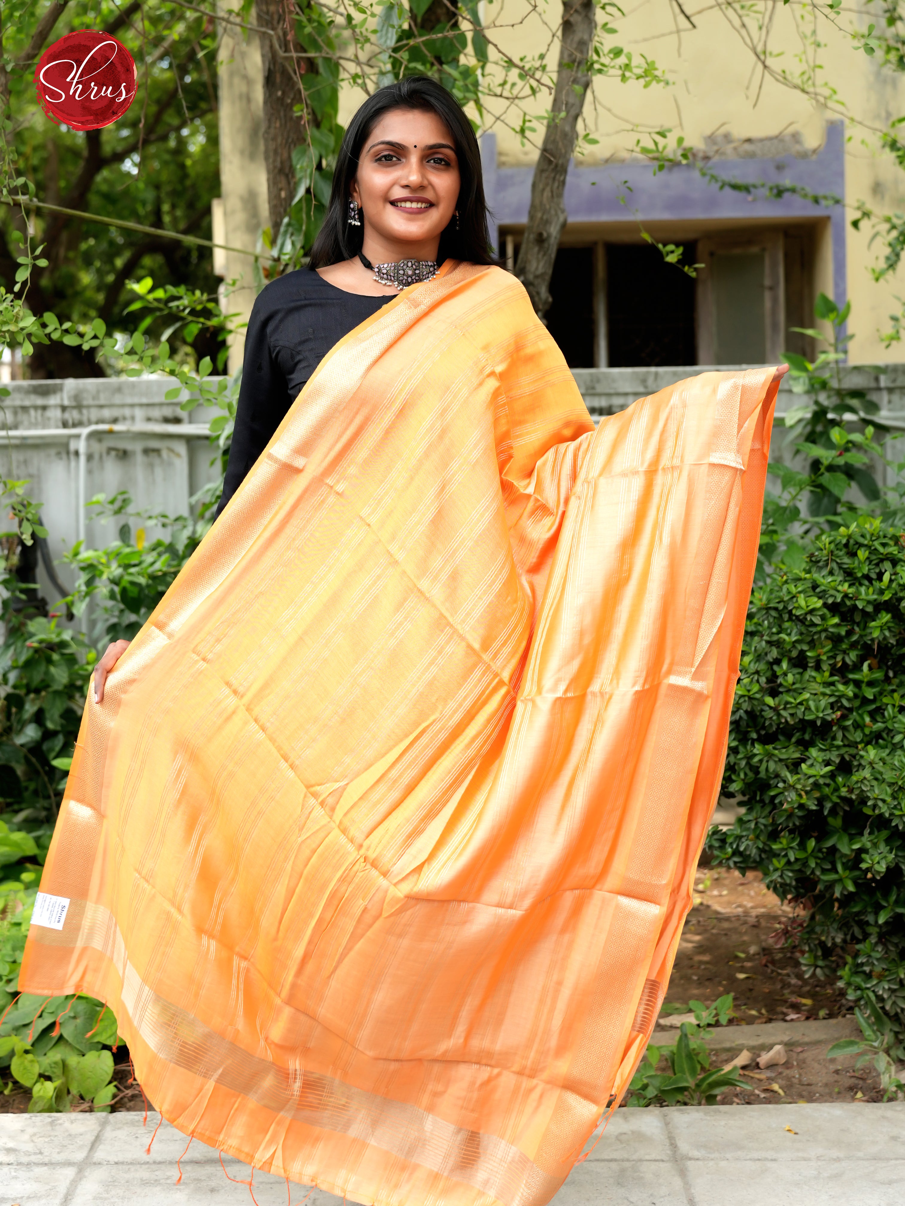 Orange - Semi Organza Dupatta - Shop on ShrusEternity.com