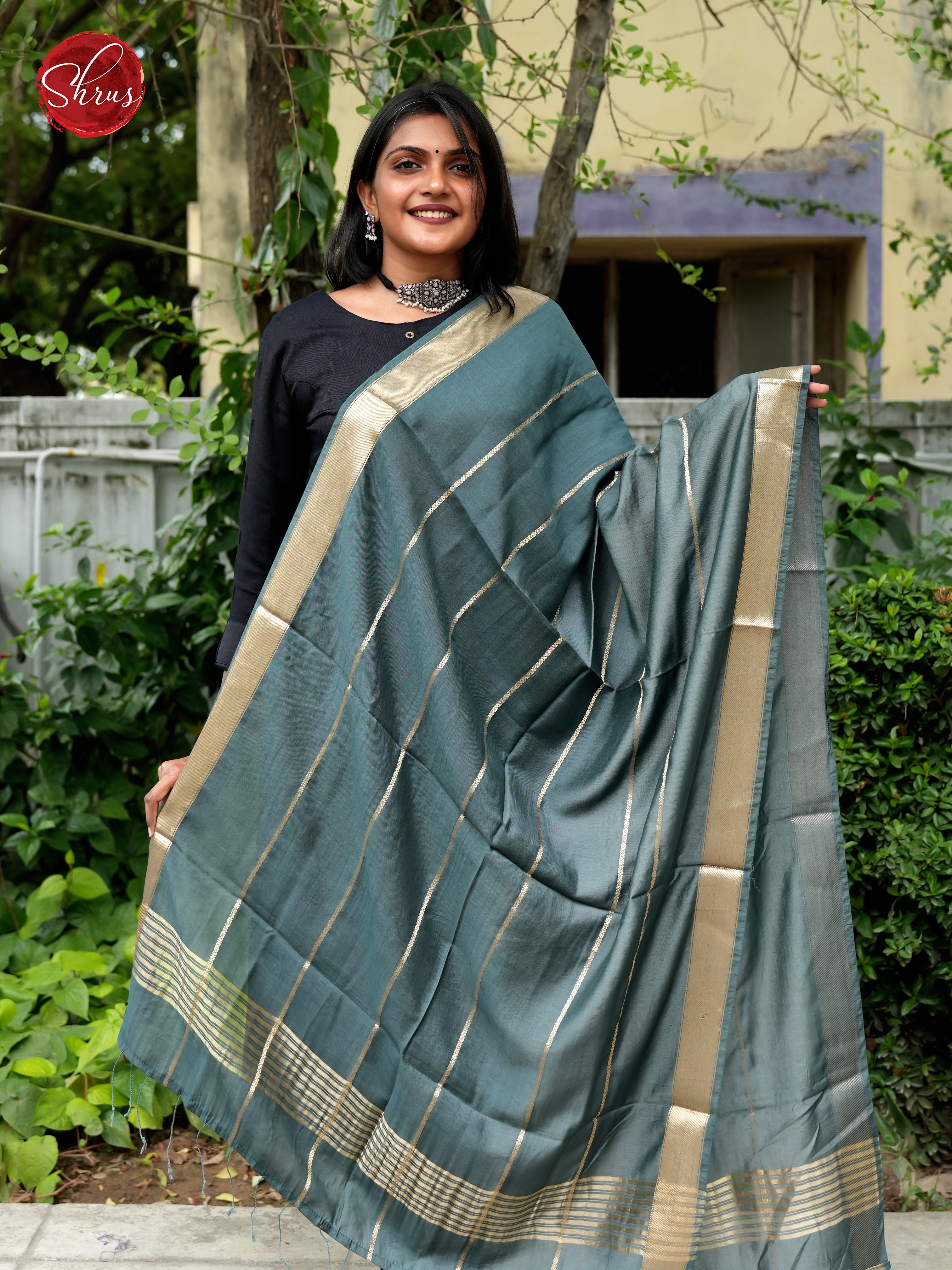 Green - Semi Organza Dupatta - Shop on ShrusEternity.com