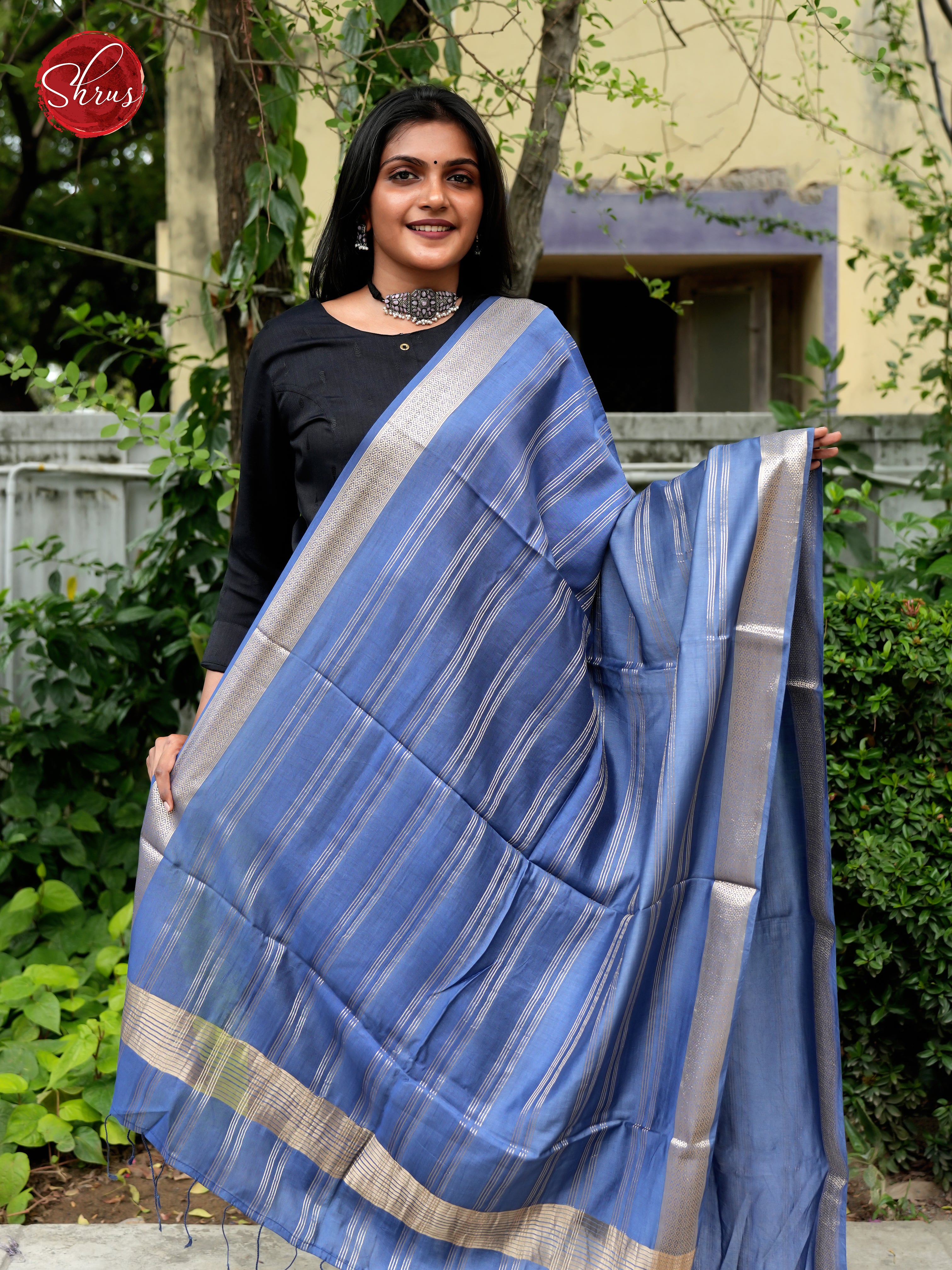 blue - Semi Organza Dupatta - Shop on ShrusEternity.com