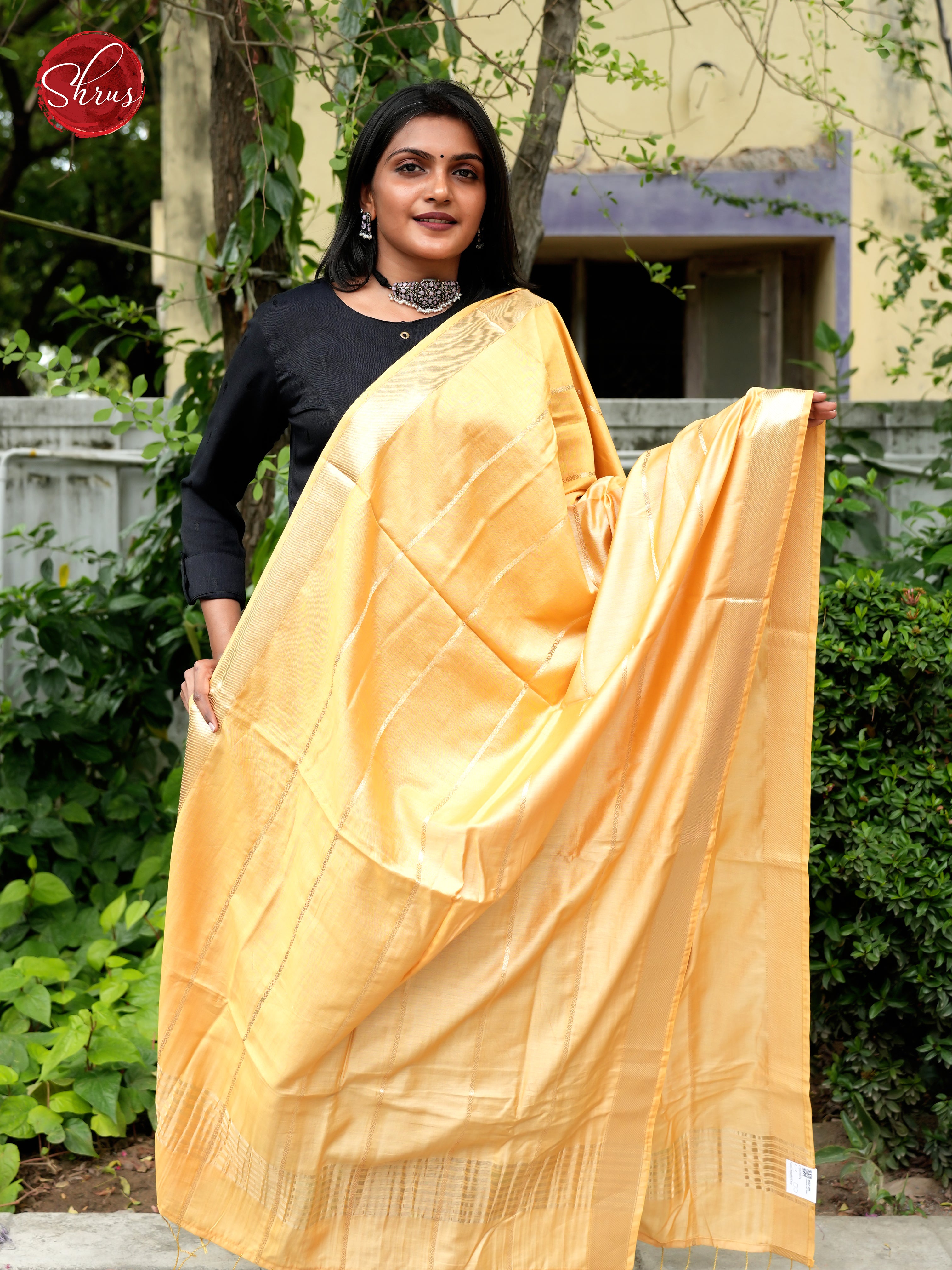 Yellow - Semi Organza Dupatta - Shop on ShrusEternity.com