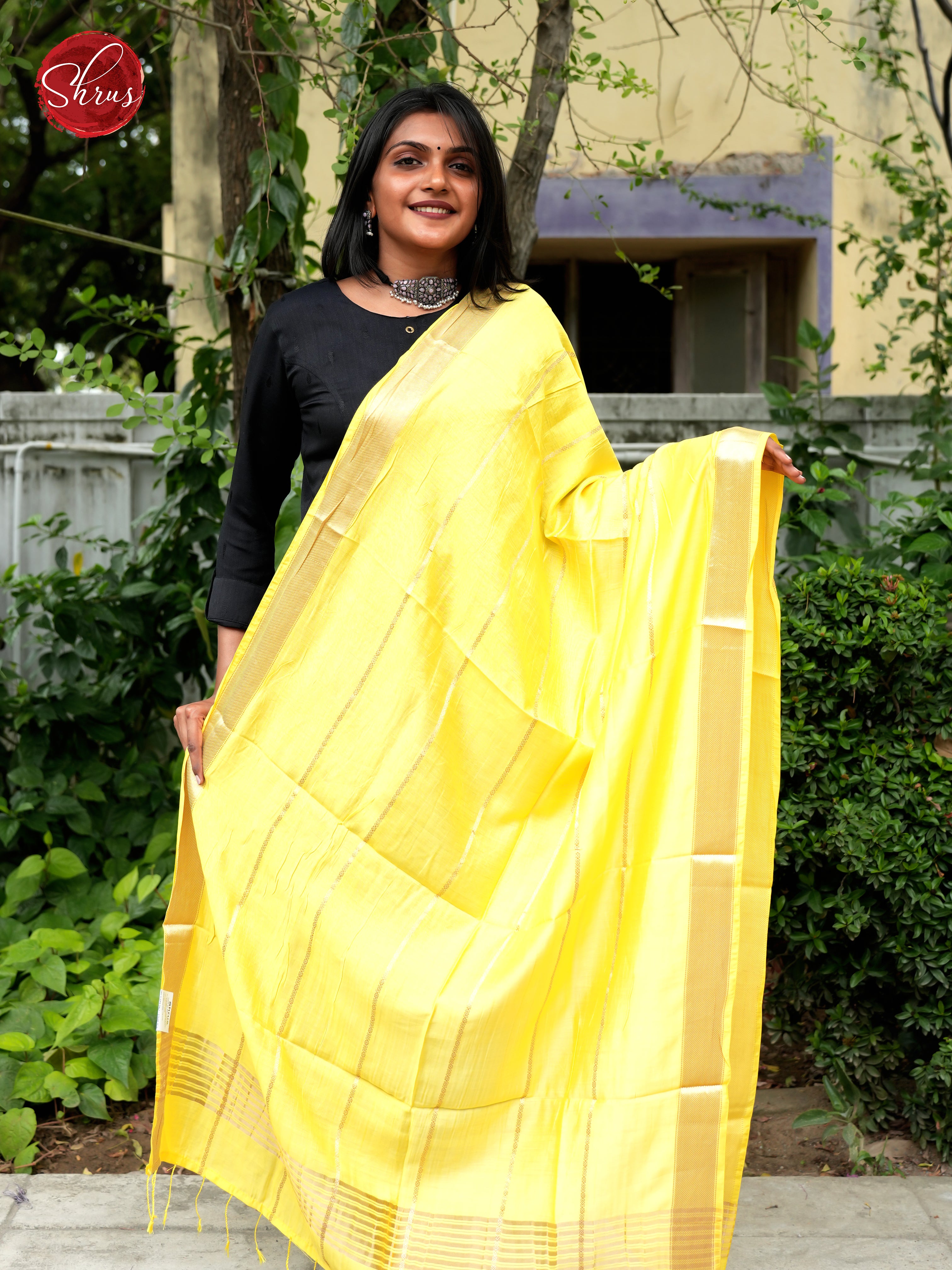 Yellow - Semi Organza Dupatta - Shop on ShrusEternity.com
