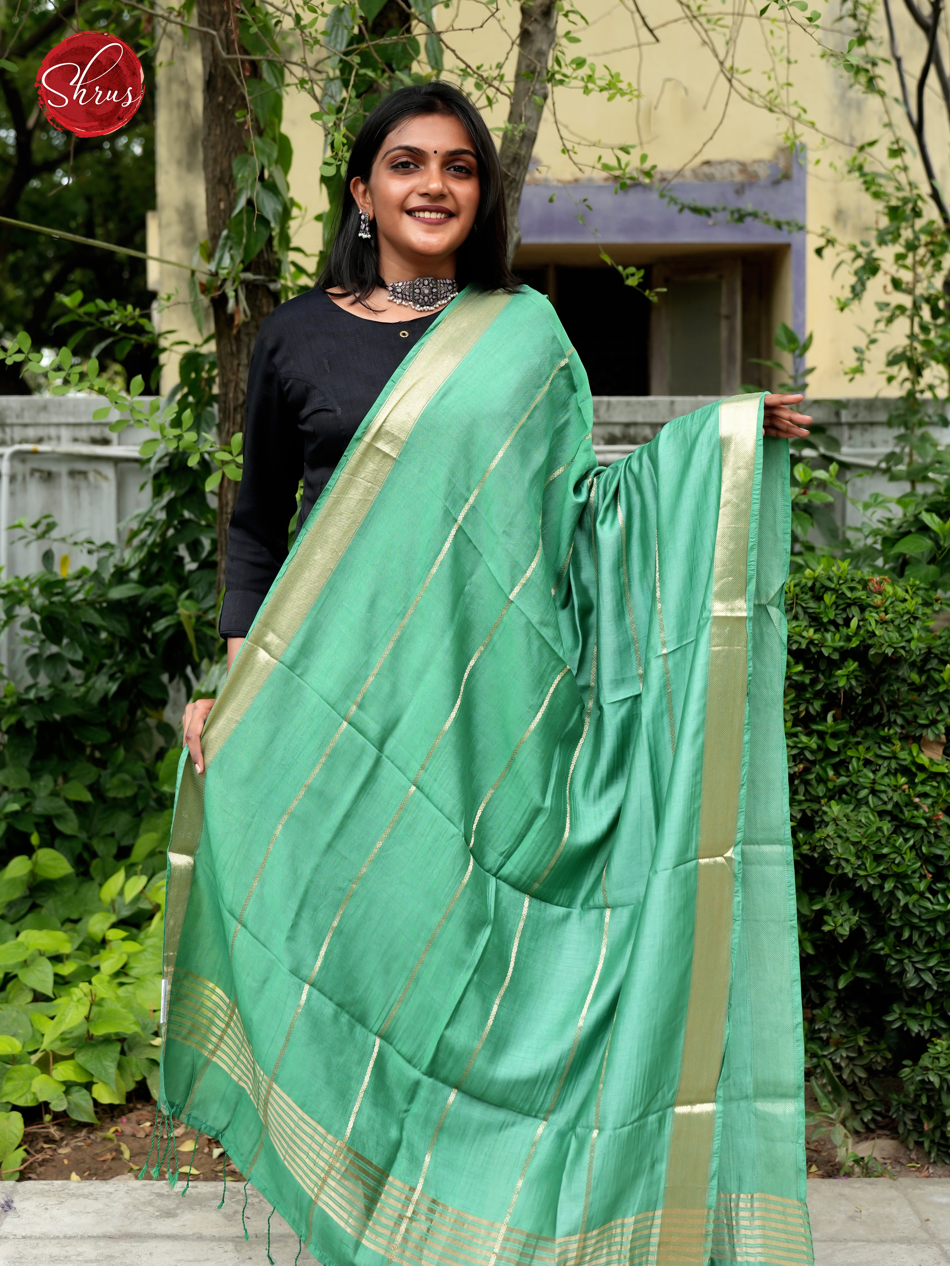 Green - Semi Organza Dupatta - Shop on ShrusEternity.com